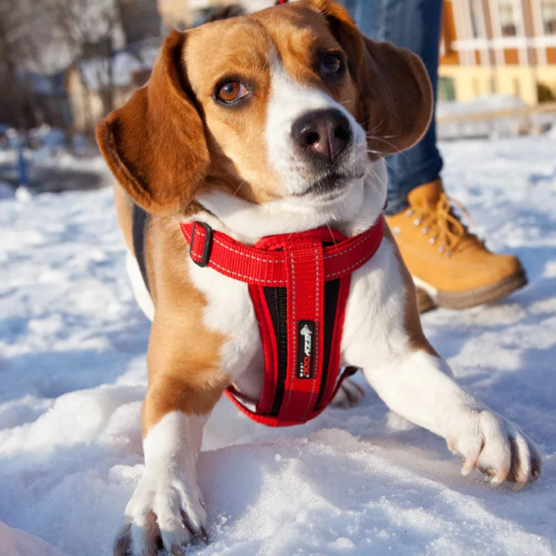 EzyDog Chest Plate Dog Harness with Swivelling Car Restraint