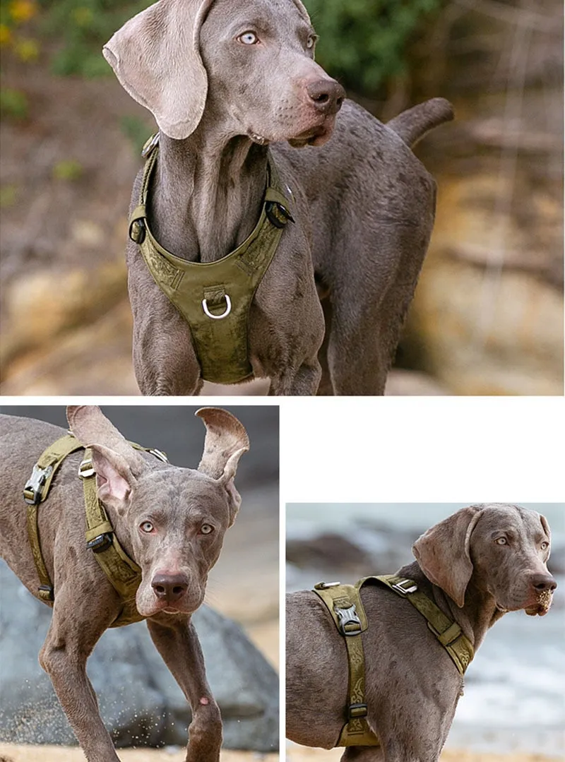 Fast-Release Buckles Dog Harness