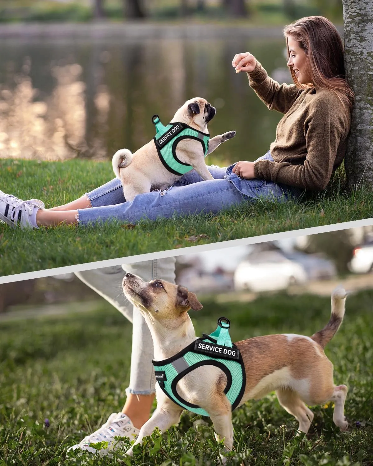 FAYOGOO Dog Harness for Small Dogs - Lightweight Service Dog in Training Harness with 6PCS Removable Patches - Puppy Harness for Walking Training