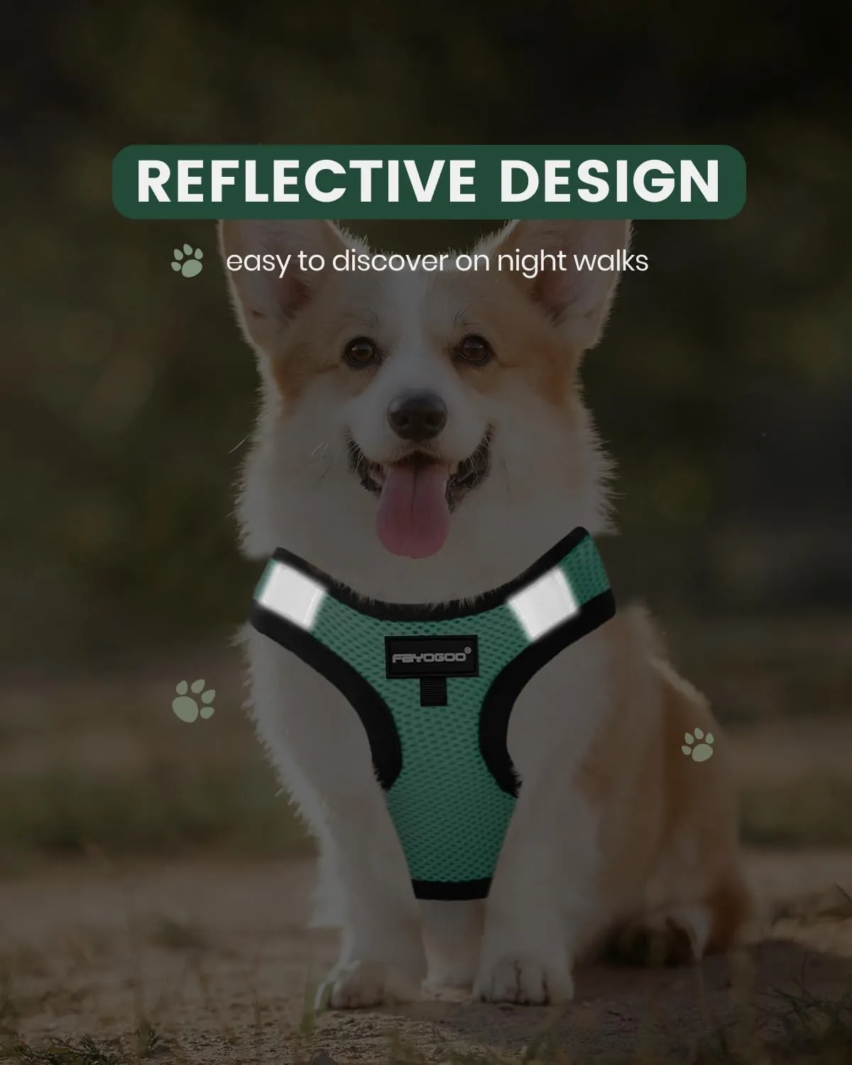 FAYOGOO Dog Harness for Small Dogs - Lightweight Service Dog in Training Harness with 6PCS Removable Patches - Puppy Harness for Walking Training