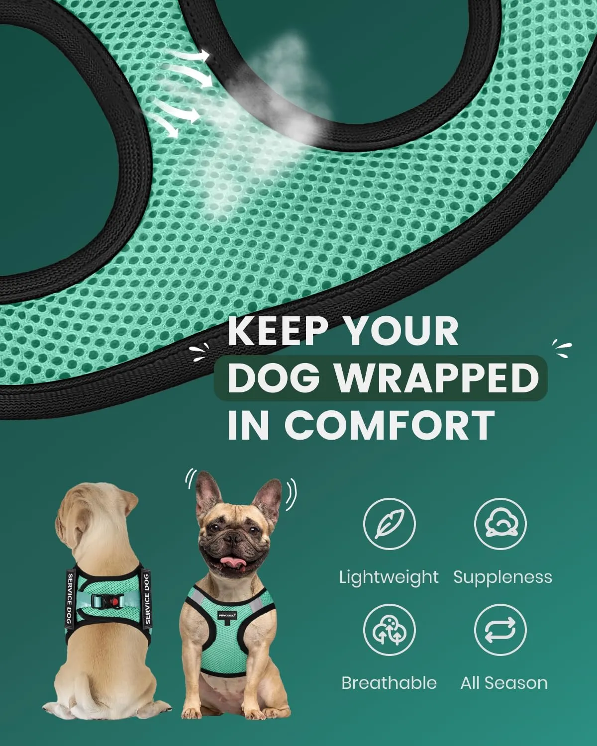 FAYOGOO Dog Harness for Small Dogs - Lightweight Service Dog in Training Harness with 6PCS Removable Patches - Puppy Harness for Walking Training