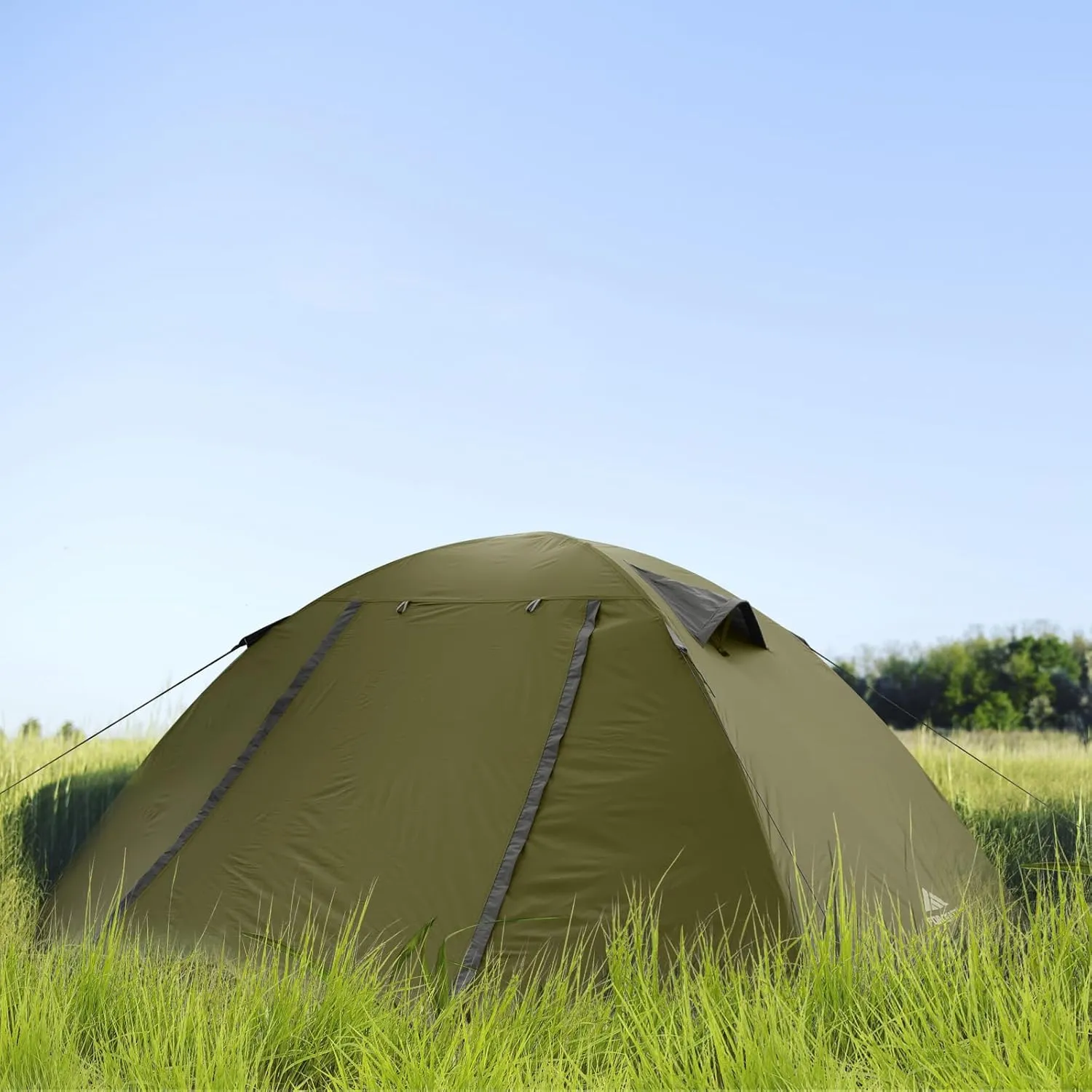 Forceatt Camping Tent 2/3/4 Person, Professional Waterproof & Windproof Lightweight Backpacking Tent Suitable for Outdoor,Hiking,Camping, Mountaineering and Travel