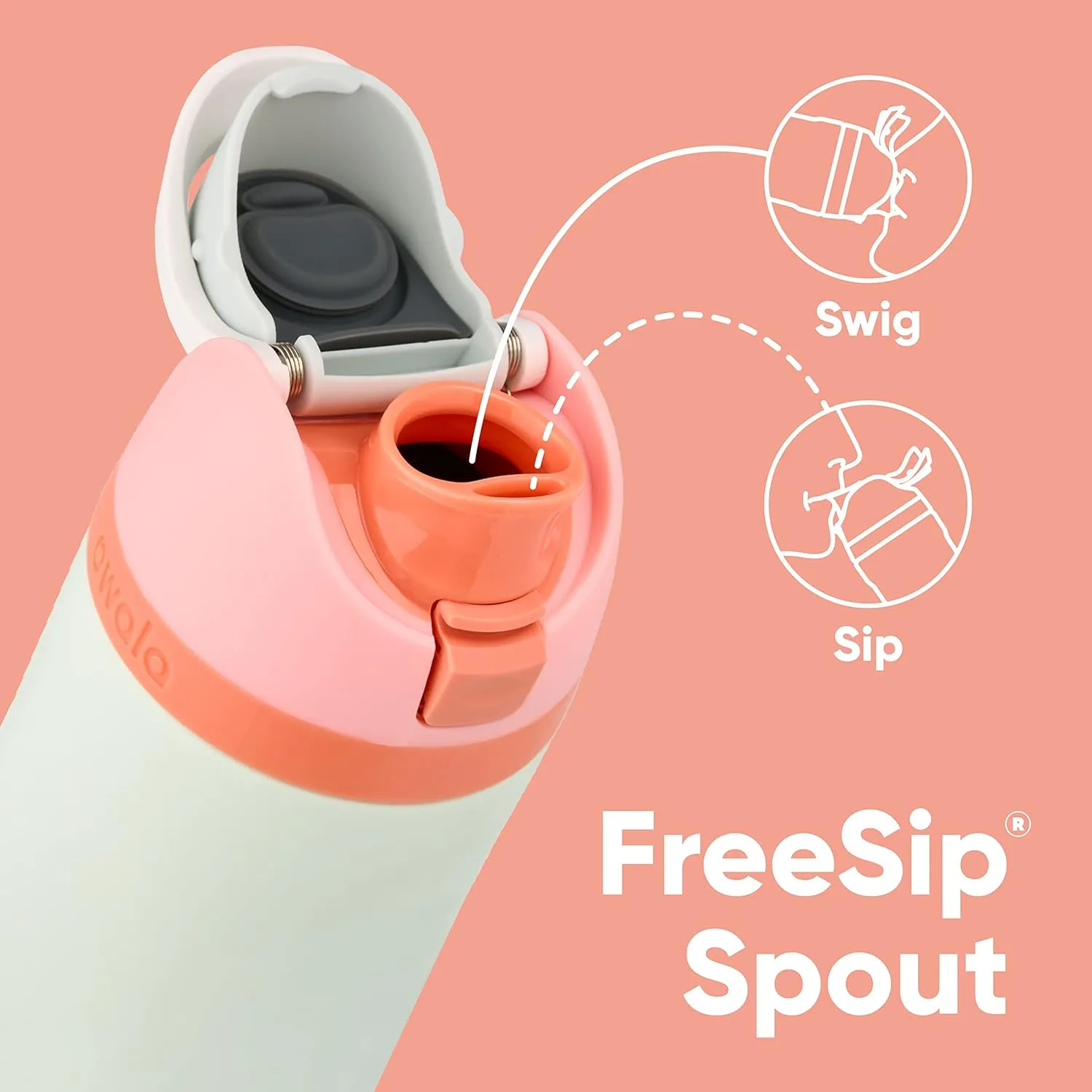 FreeSip Insulated Stainless Steel Water Bottle with Straw for Sports, Travel, and School BPA-Free Sports Water Bottle, 32 oz, Boneyard