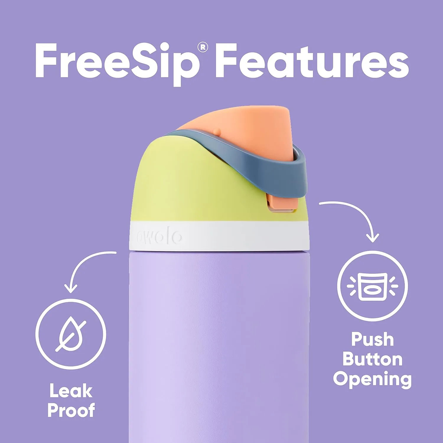 FreeSip Insulated Stainless Steel Water Bottle with Straw for Sports, Travel, and School BPA-Free Sports Water Bottle, 32 oz, Boneyard