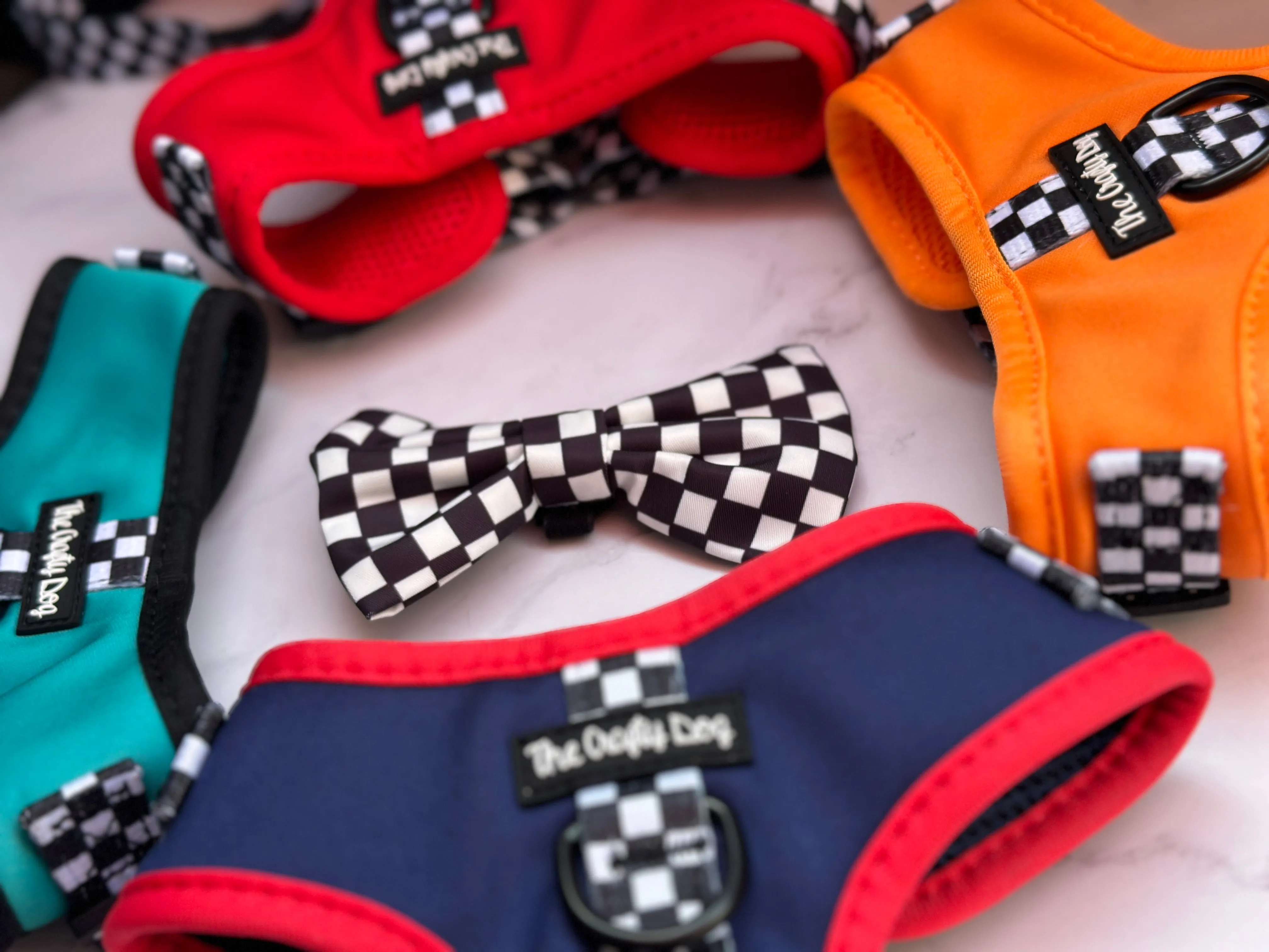 Girl Racer - CHARITY Harness