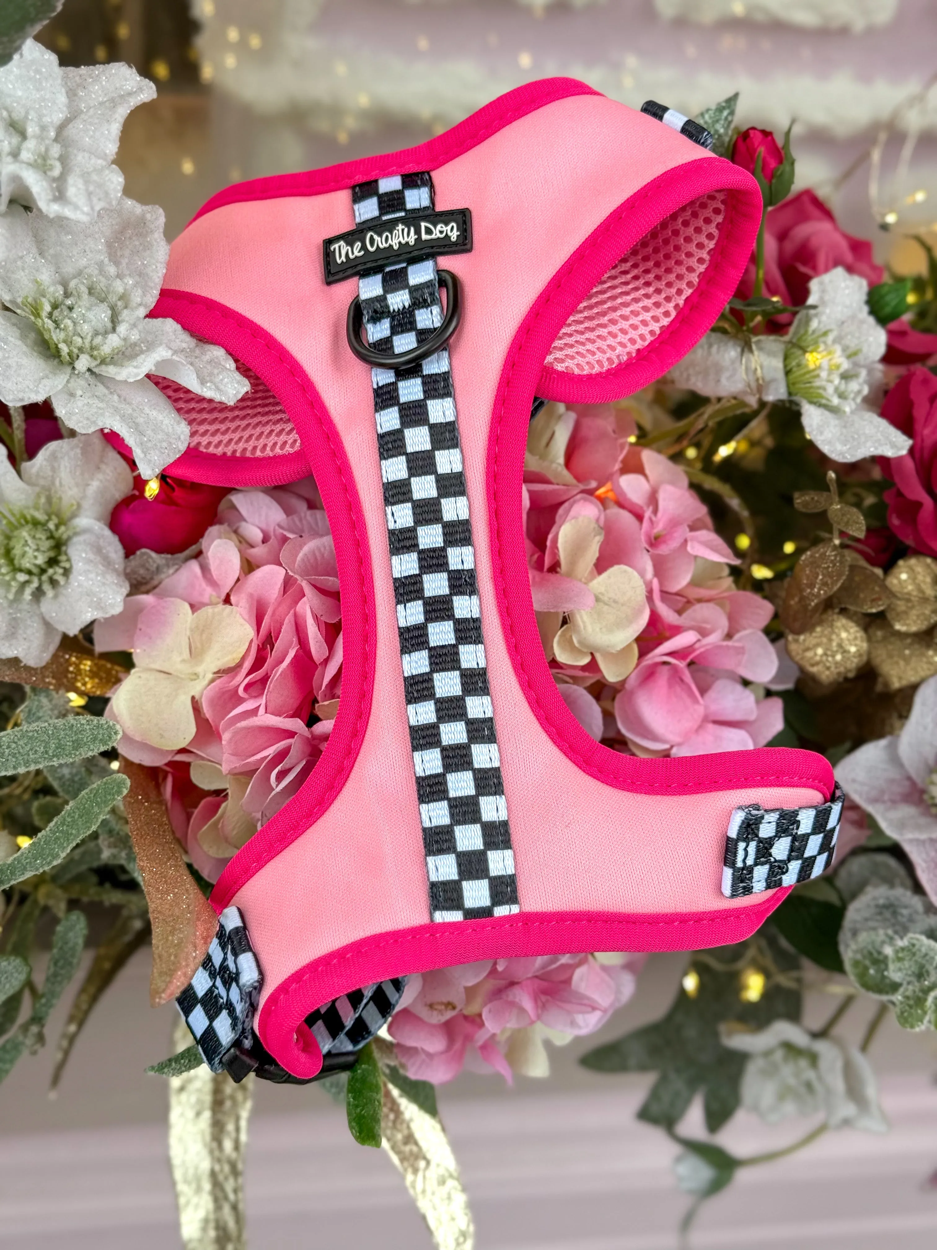 Girl Racer - CHARITY Harness