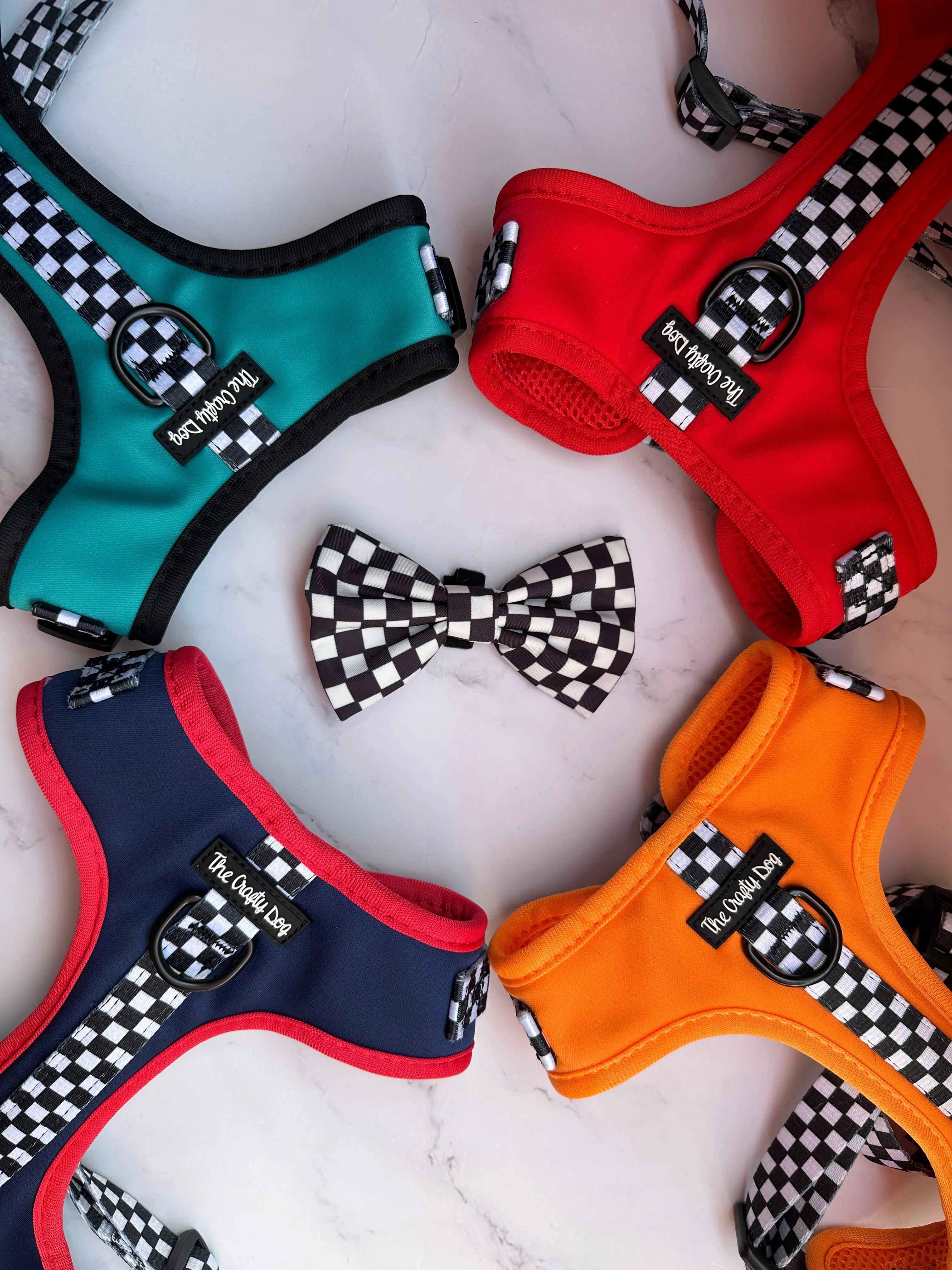 Girl Racer - CHARITY Harness