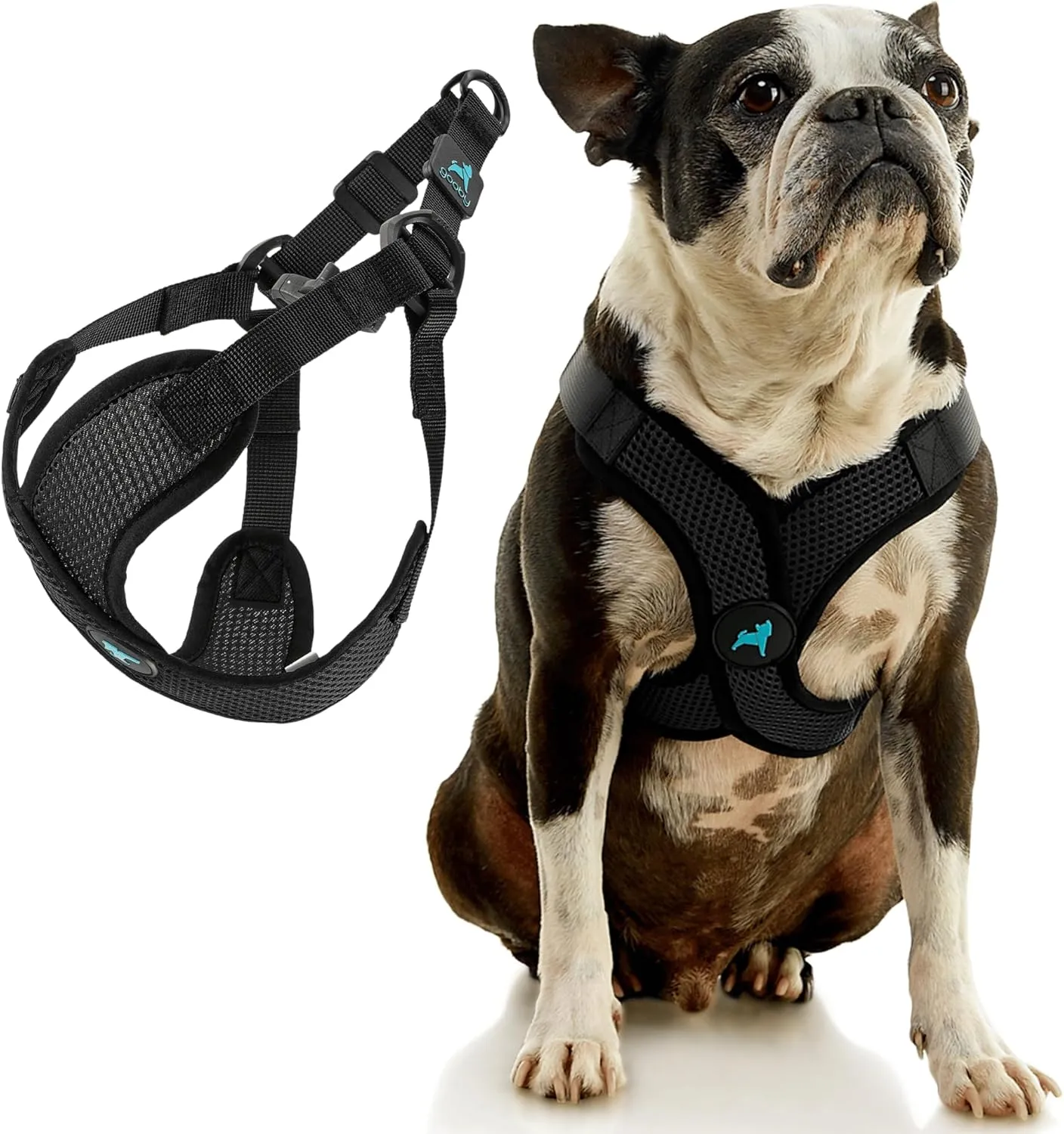 Gooby Comfort X Step in Lite Dog Harness - Choke Free, Escape Free with Light Breathable Mesh - Step in Dog Harness for Small and Medium Dogs - Quick Release Buckle, Metal D-Rings - Black, X-Large