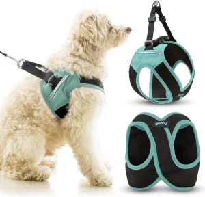 Gooby Escape Free Easy Fit X in Dog Harness - Seattle Blue, Medium