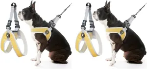 Gooby Simple Step in III Harness - Yellow, Small - Small Dog Harness with Scratch Resistant Outer Vest - Soft Inner Mesh Harness for Small, Medium Dogs (Pack of 2)