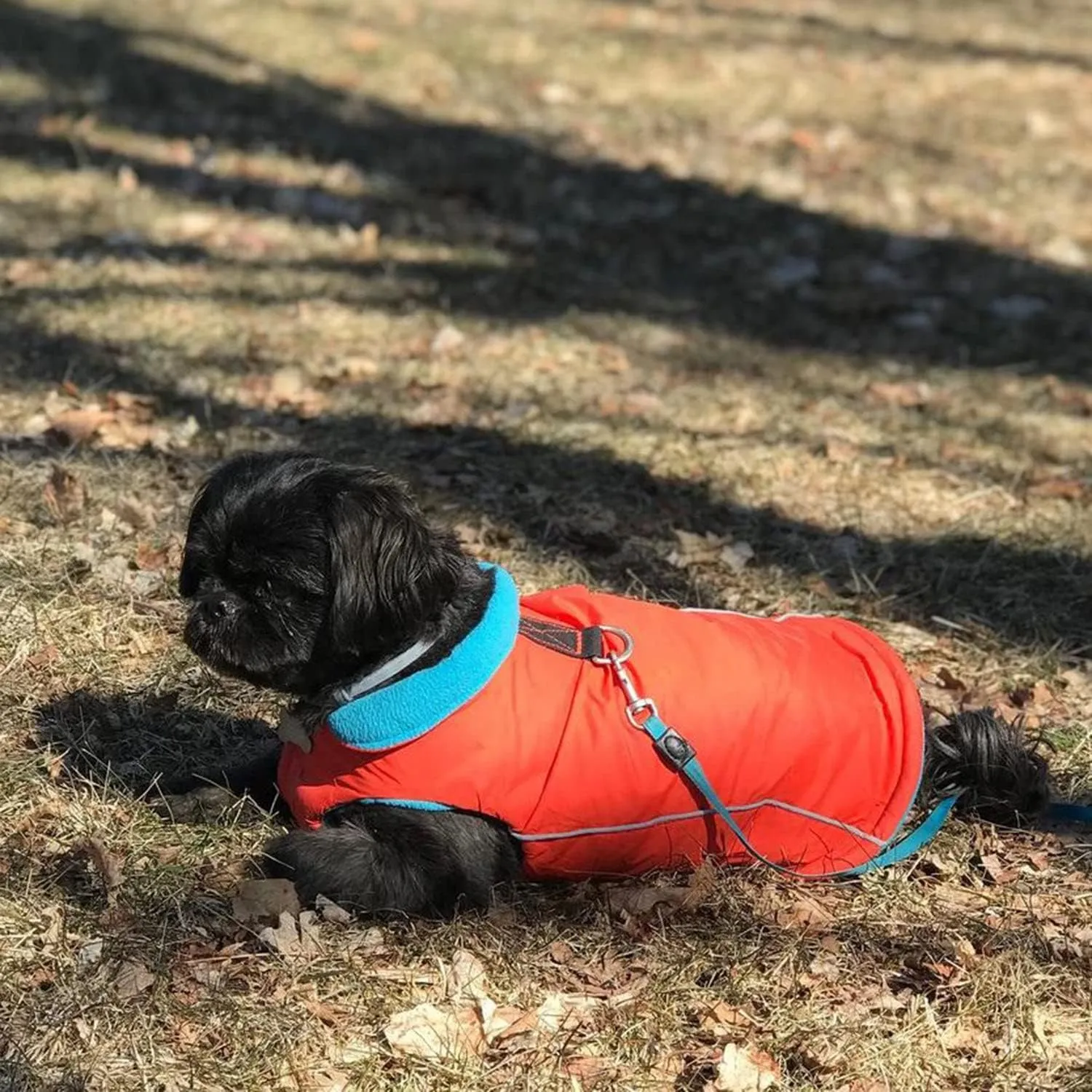 Gooby - Sports Vest, Fleece Lined Small Dog Cold Weather Jacket Coat Sweater with Reflective Lining, Orange, Large