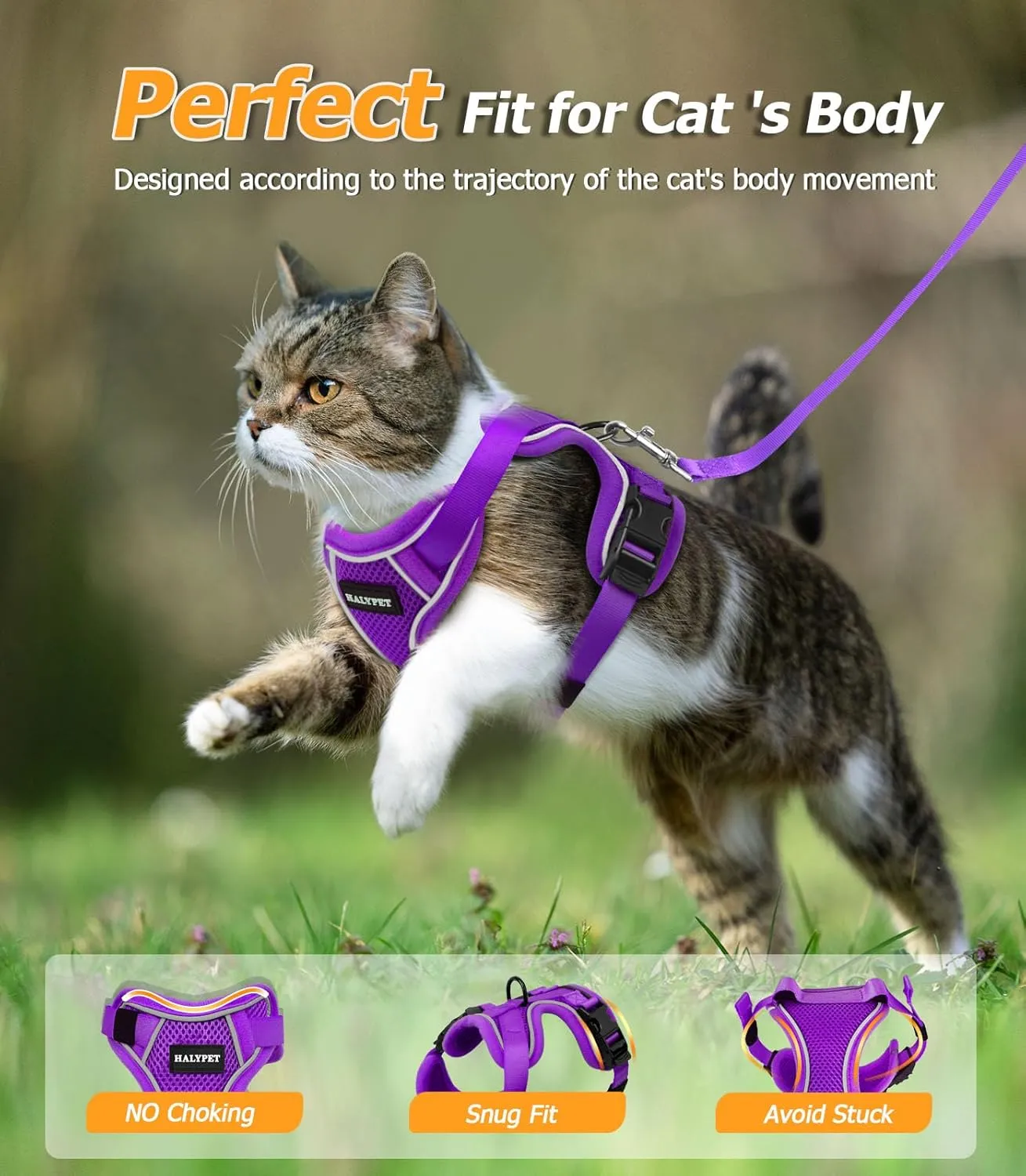 Halypet Cat Harness and Leash Set [MAX Safety 4th-Gen Upgrade] Escape Proof Adjustable Cat Leash Comfortable Soft Vest Easy to Wear Kitten Harness with Reflective Strip for Cats Walking, M Purple