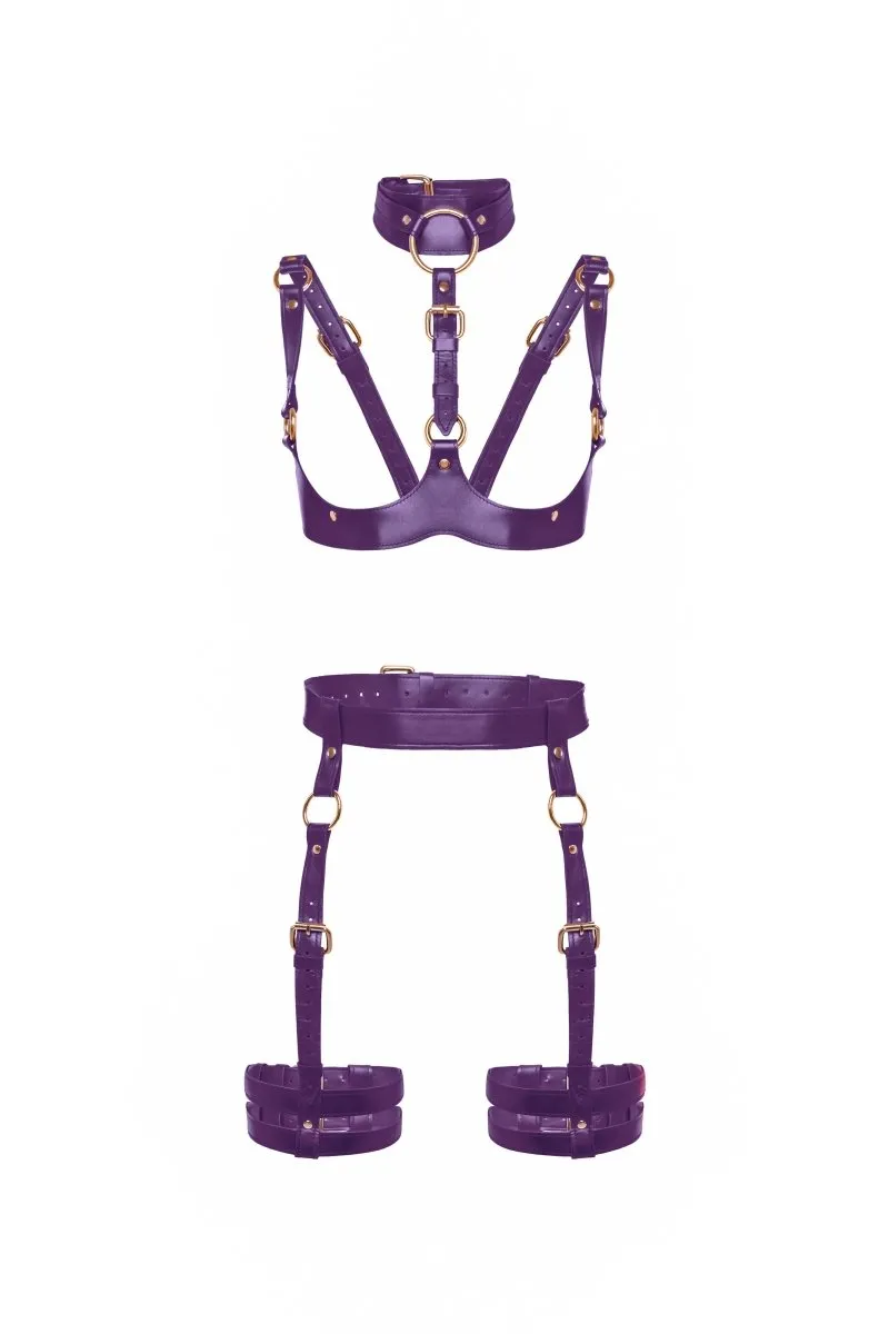 Harness "Demetra"
