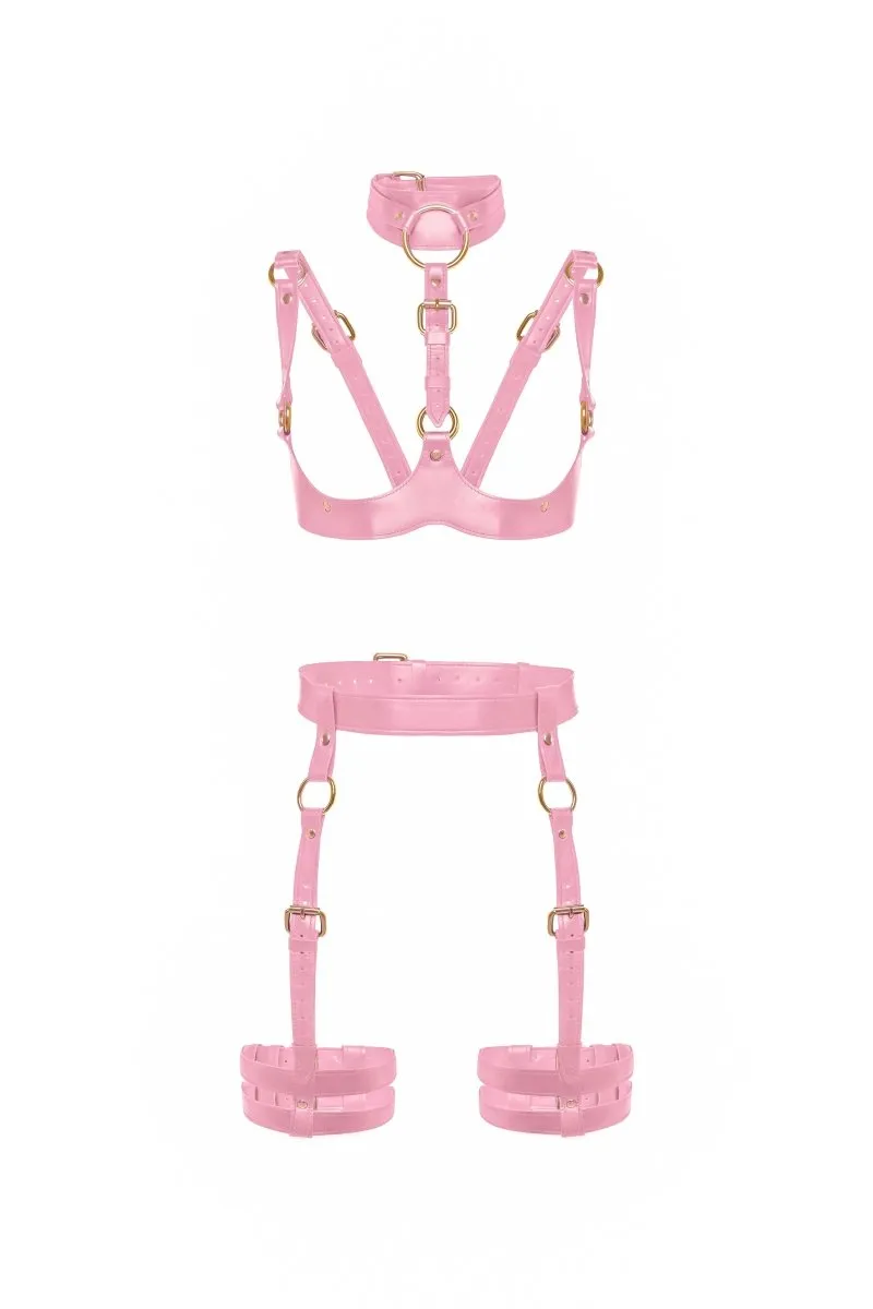 Harness "Demetra"