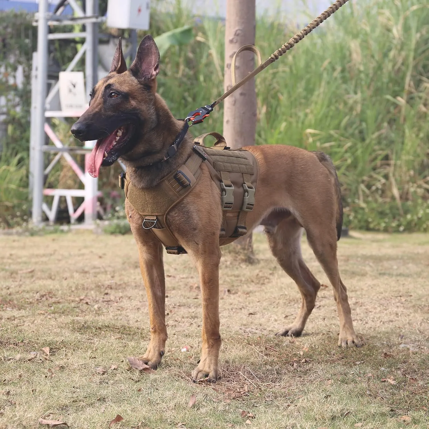 ICEFANG Reflective GN3 Tactical Dog Harness with 6X Buckles,for Medium Sized Dogs,Dog Molle k9 Vest,Adjustable Pet Harness,No-Pulling Front Leash Clip (M (25"-31" Chest), Brown)