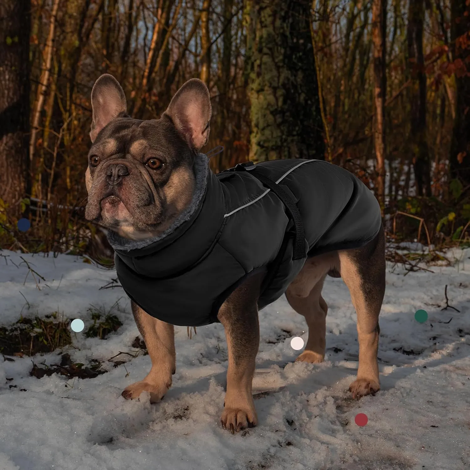 IECOii Extra Warm Coat - Adjustable Dog Jacket Winter Coat with Buckle & Fleece Turtleneck for Small to Extra Large Dogs