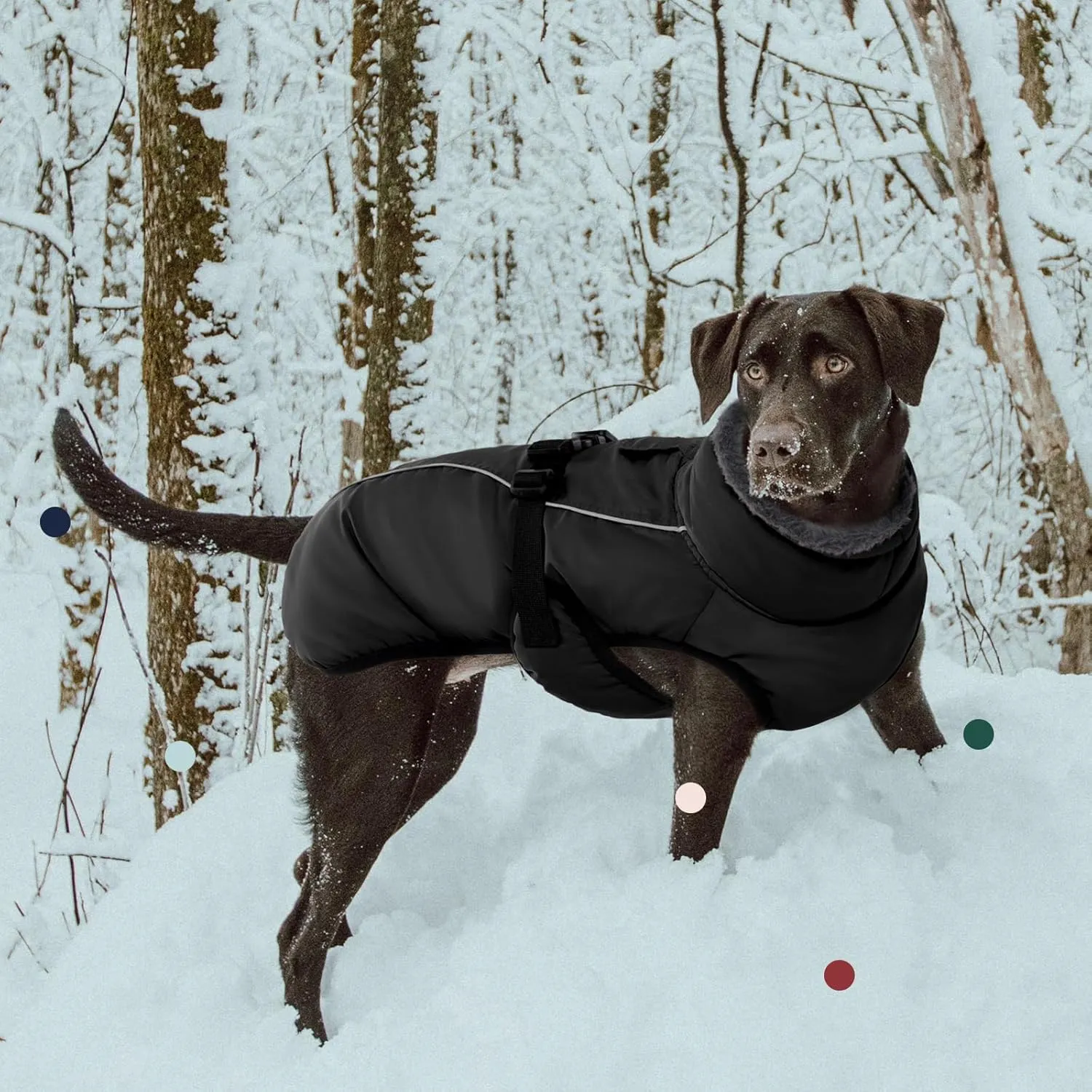 IECOii Extra Warm Coat - Adjustable Dog Jacket Winter Coat with Buckle & Fleece Turtleneck for Small to Extra Large Dogs