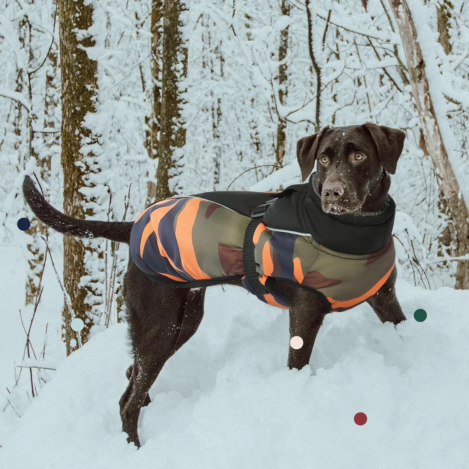 IECOii Extra Warm Dog Coat - Reflective, Adjustable Winter Coat with Buckle & Fleece Turtleneck for Small to Extra Large Dogs
