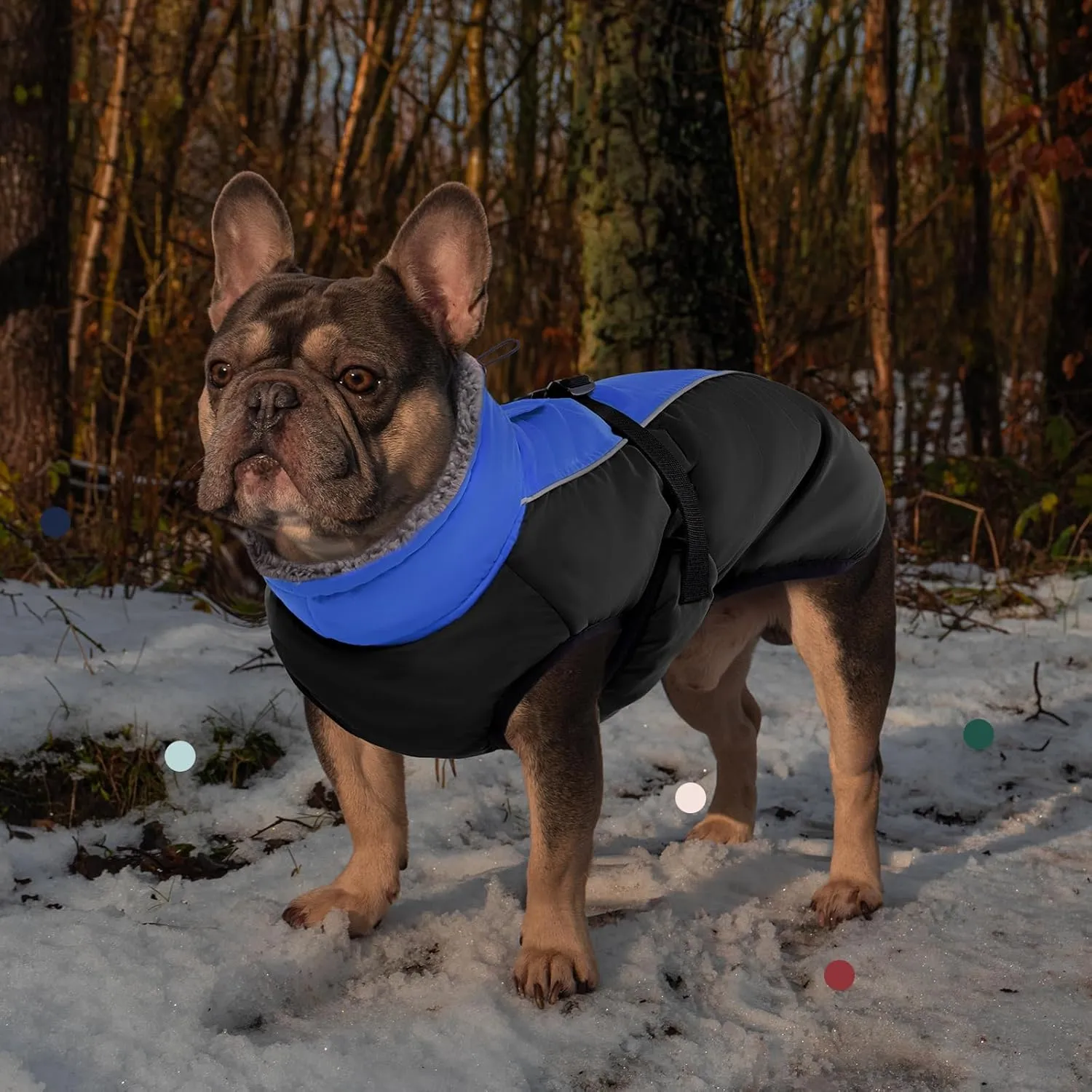 IECOii Extra Warm Dog Coat - Reflective, Adjustable Winter Jacket with Buckle & Fleece Turtleneck for Small, Medium & Large Dogs