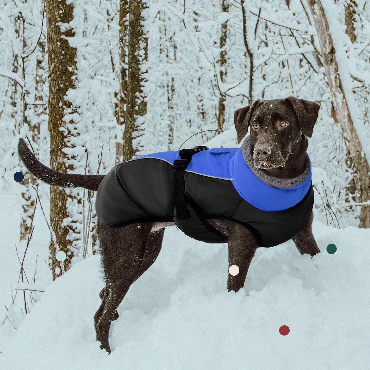 IECOii Extra Warm Dog Coat - Reflective, Adjustable Winter Jacket with Buckle & Fleece Turtleneck for Small, Medium & Large Dogs