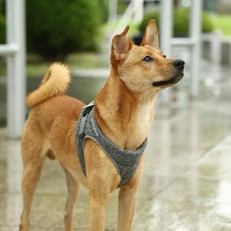 Instachew PETKIT Air Pro Lightweight Dog Harness