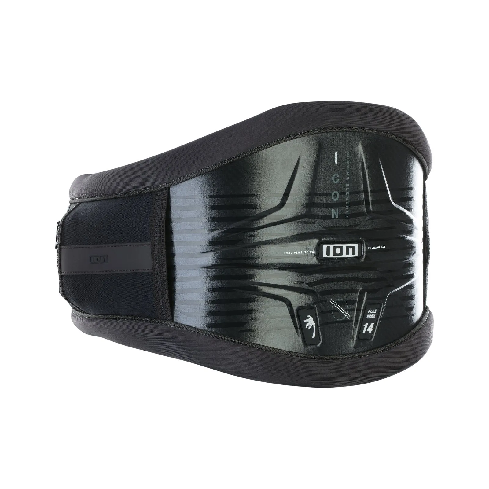 ION Icon Curv 2024