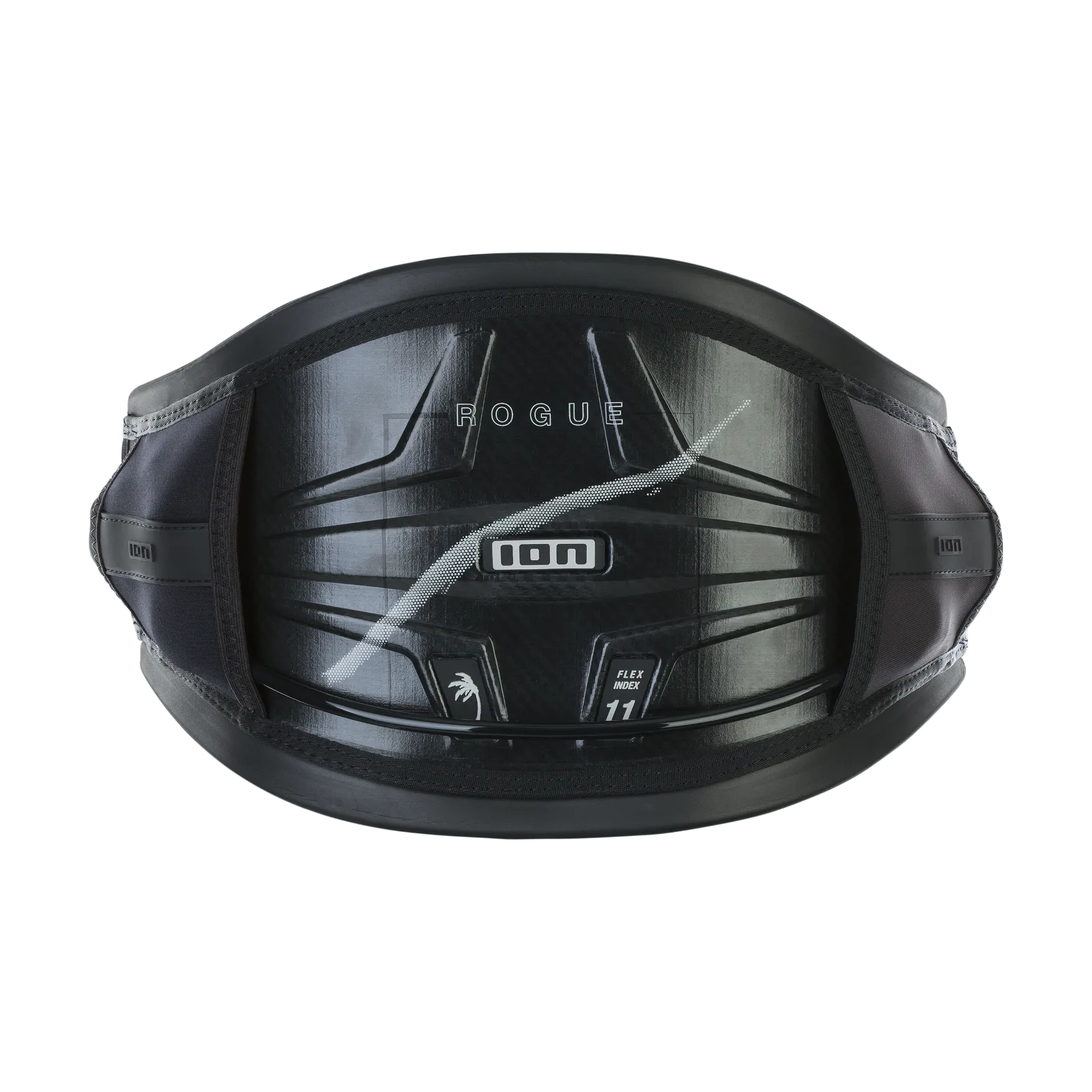 ION Rogue 2024