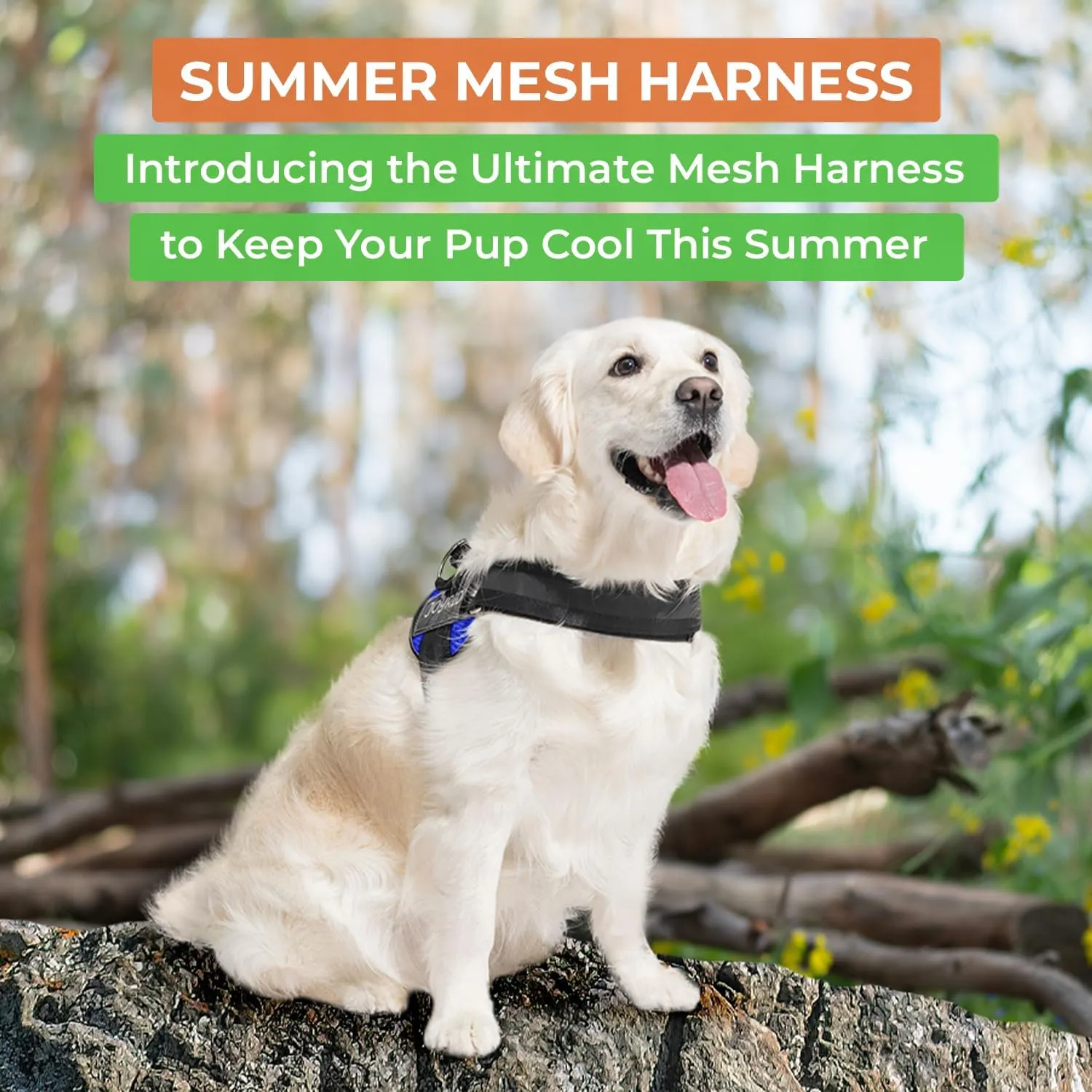 Joyride Harness Summer Mesh Vest – 2.0 No Pull Dog Harness - Adjustable, Breathable Vest - Custom Name Tag Included - Perfect for Small, Medium & Large Dogs