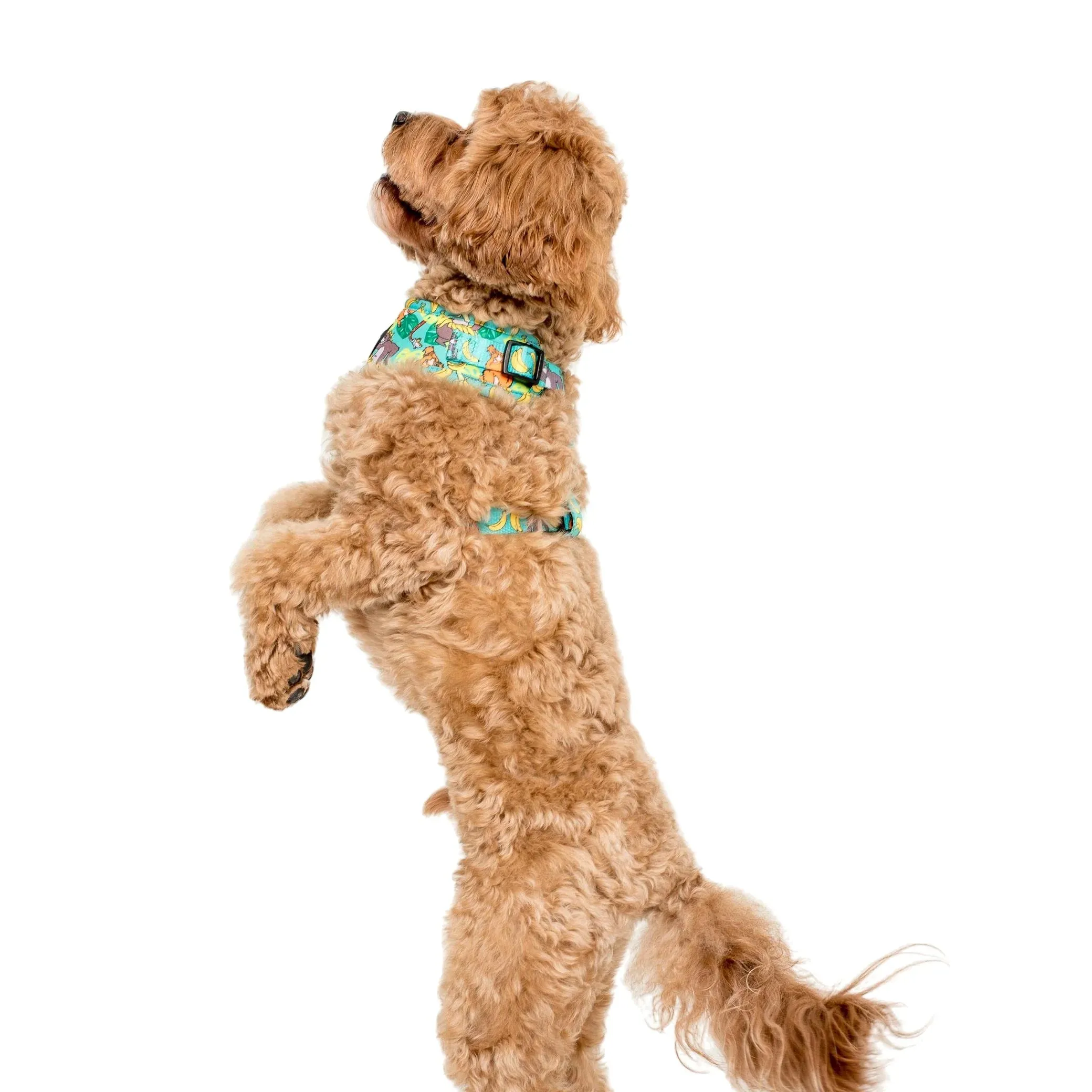 Jungle Book Adjustable Harness