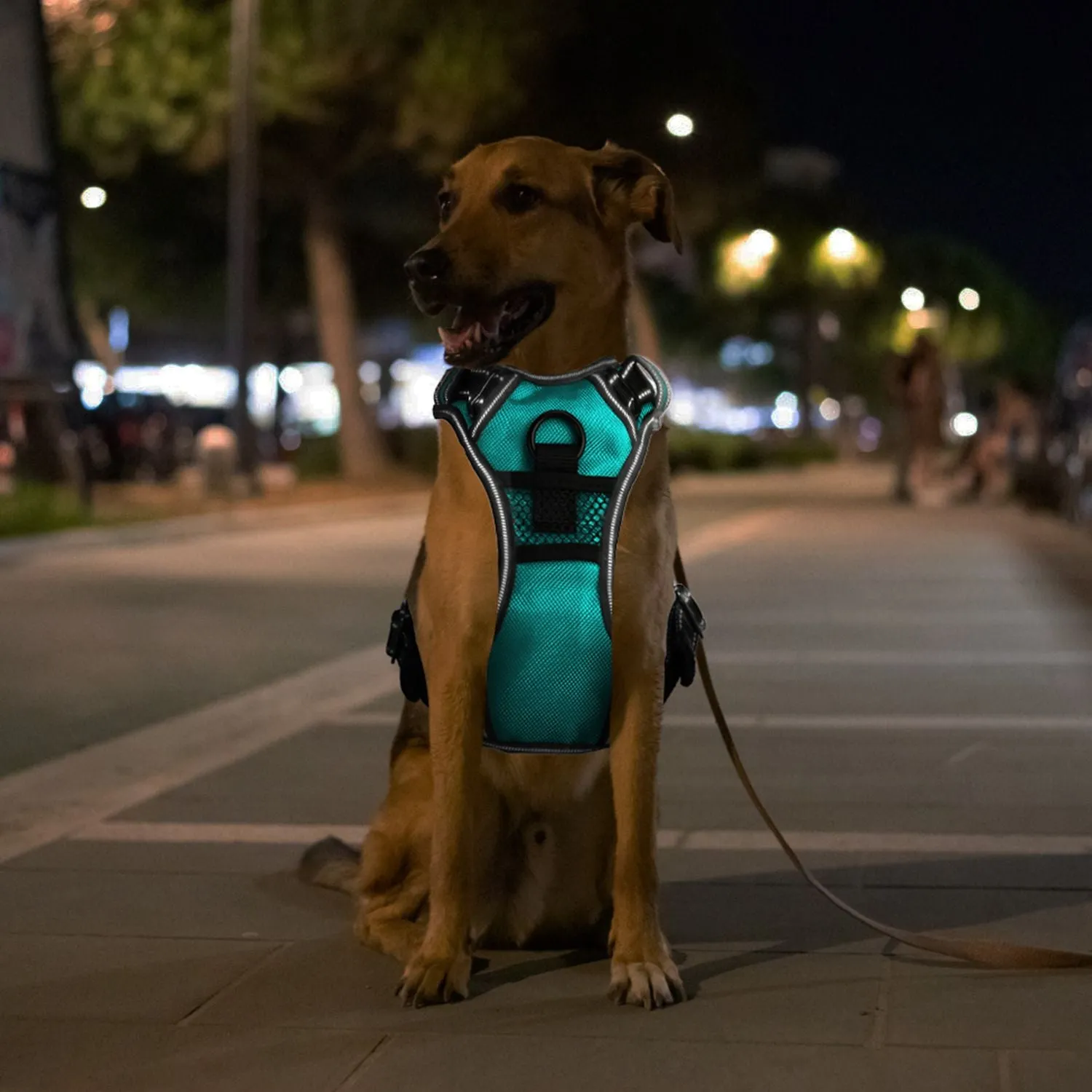 Light Up Dog Harness – No Pull Vest