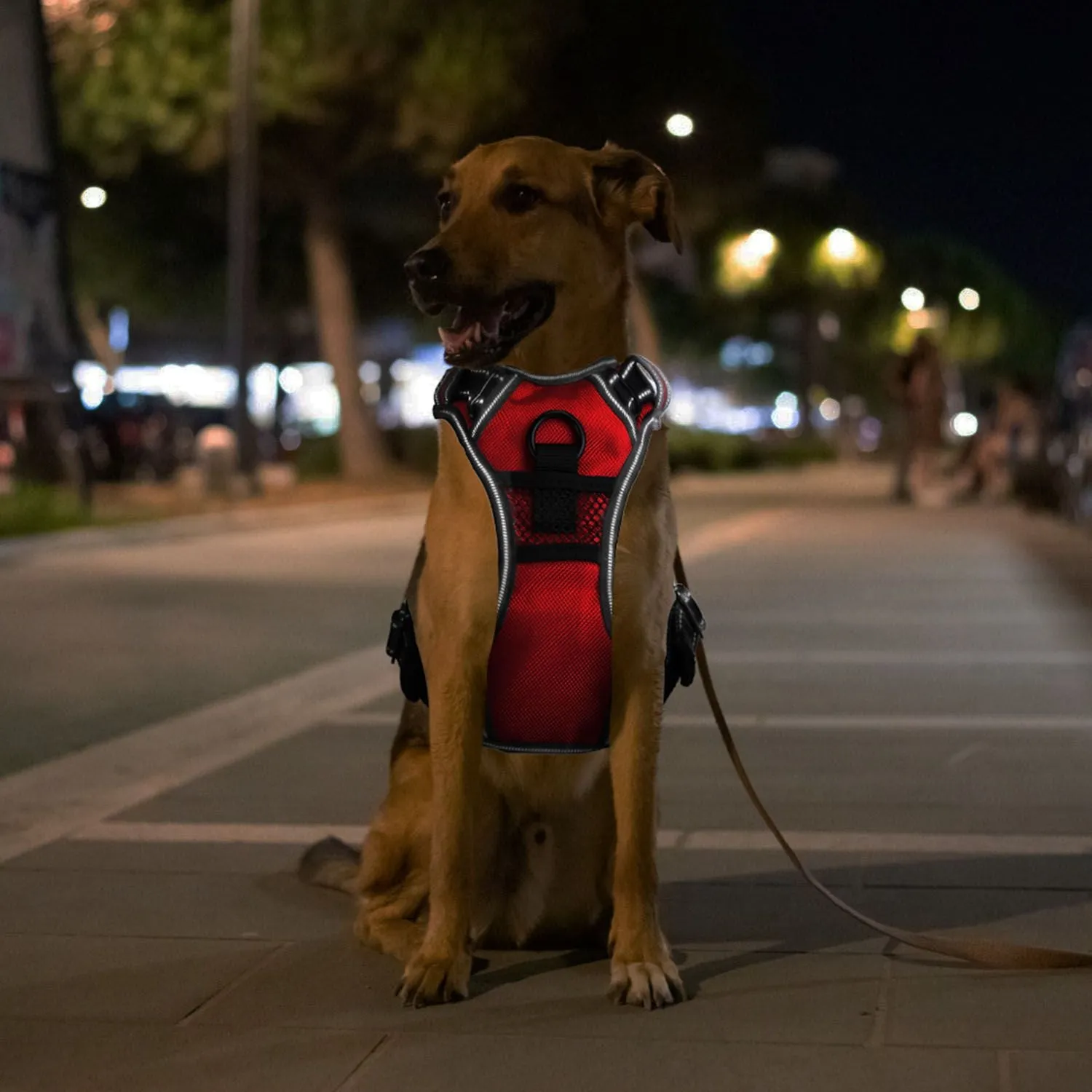 Light Up Dog Harness – No Pull Vest
