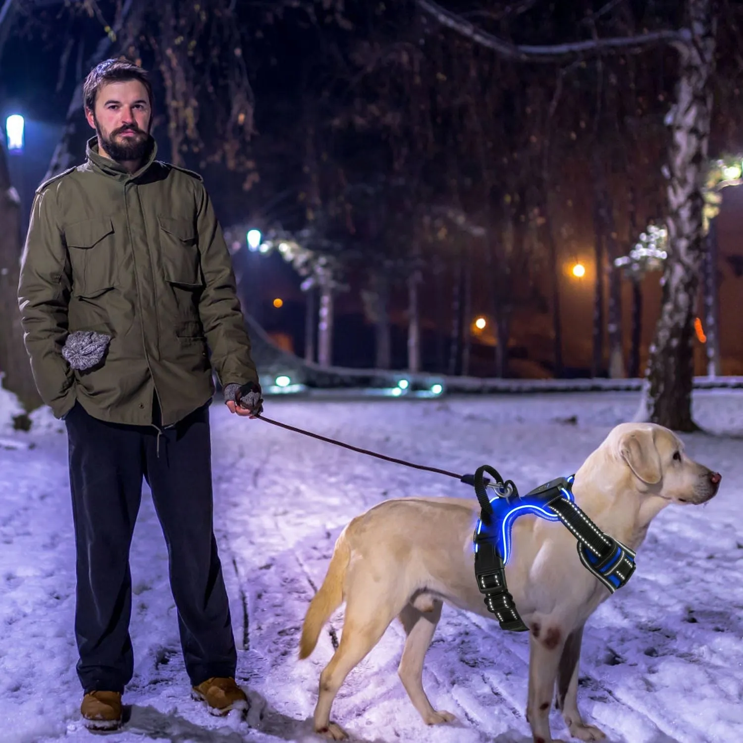 Light Up Dog Harness – No Pull Vest