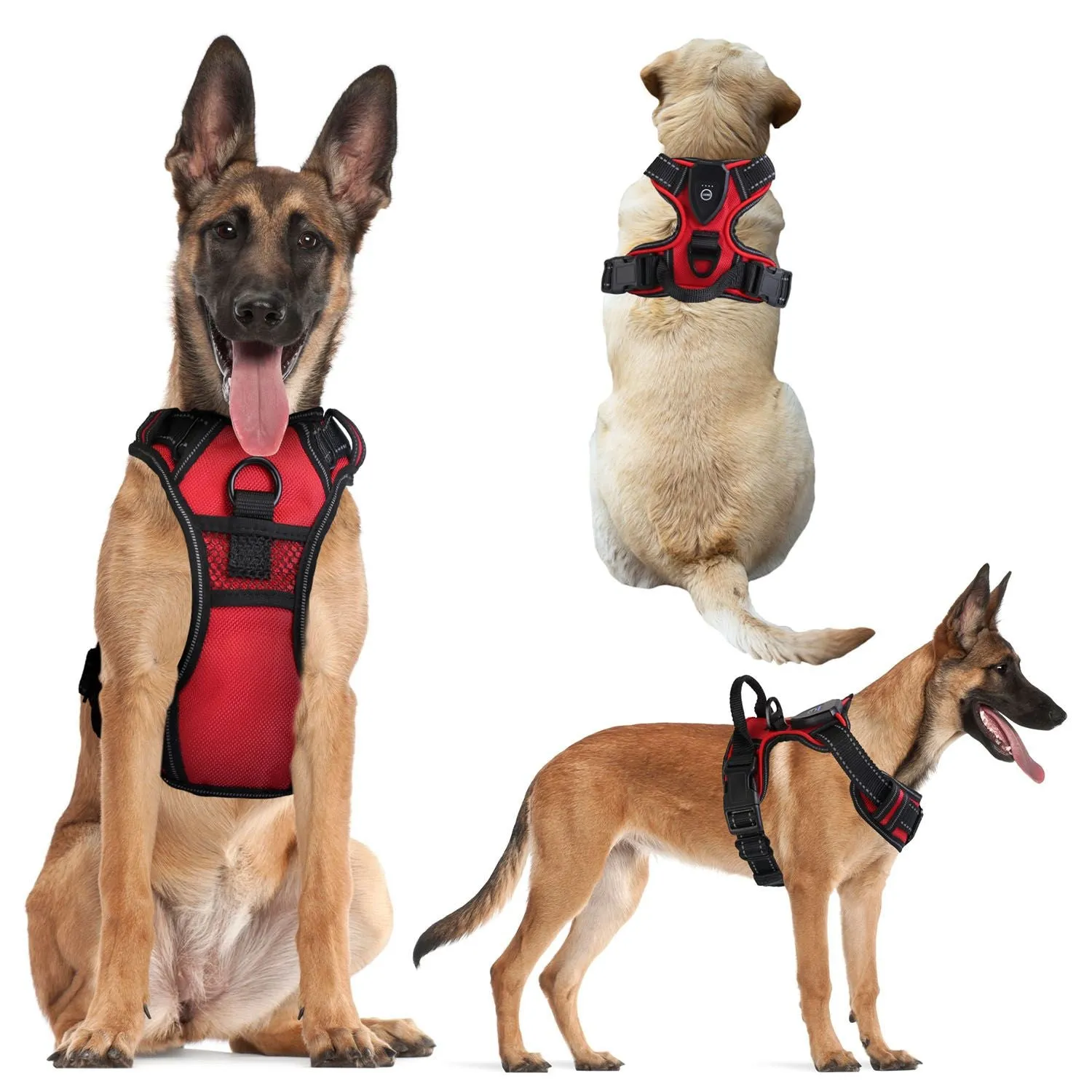 Light Up Dog Harness – No Pull Vest