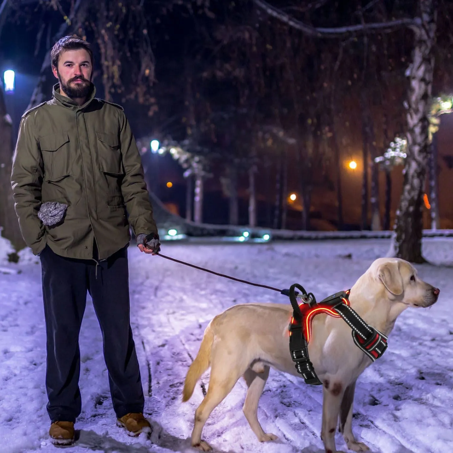 Light Up Dog Harness – No Pull Vest