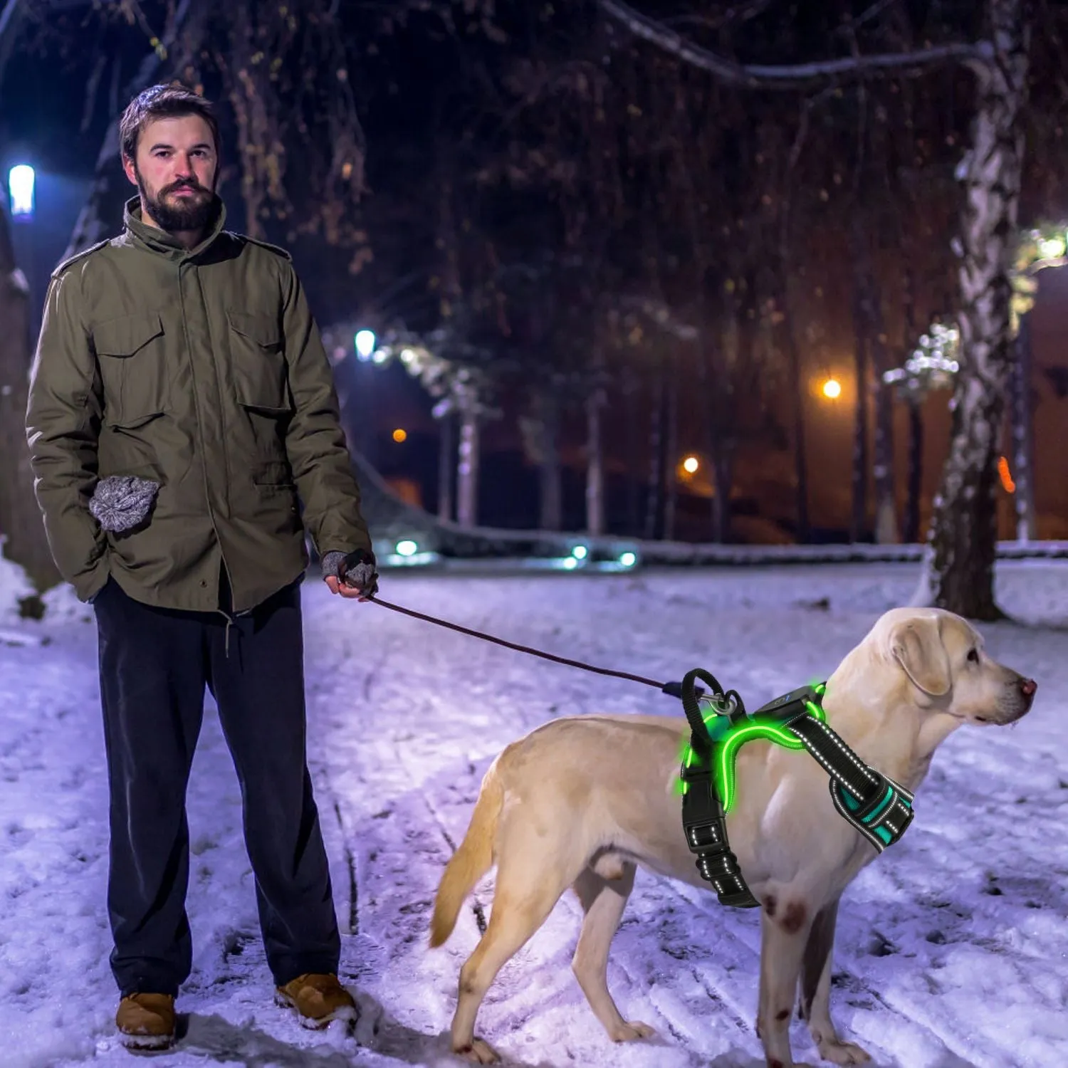 Light Up Dog Harness – No Pull Vest