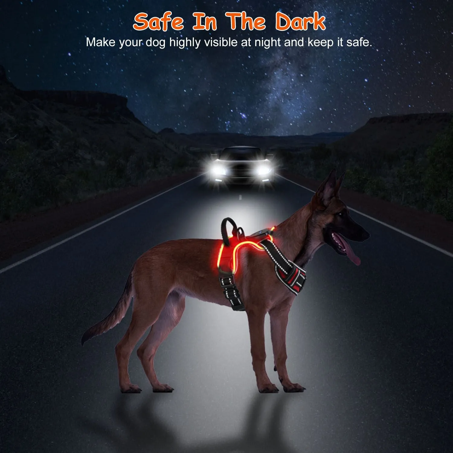 Light Up Dog Harness – No Pull Vest