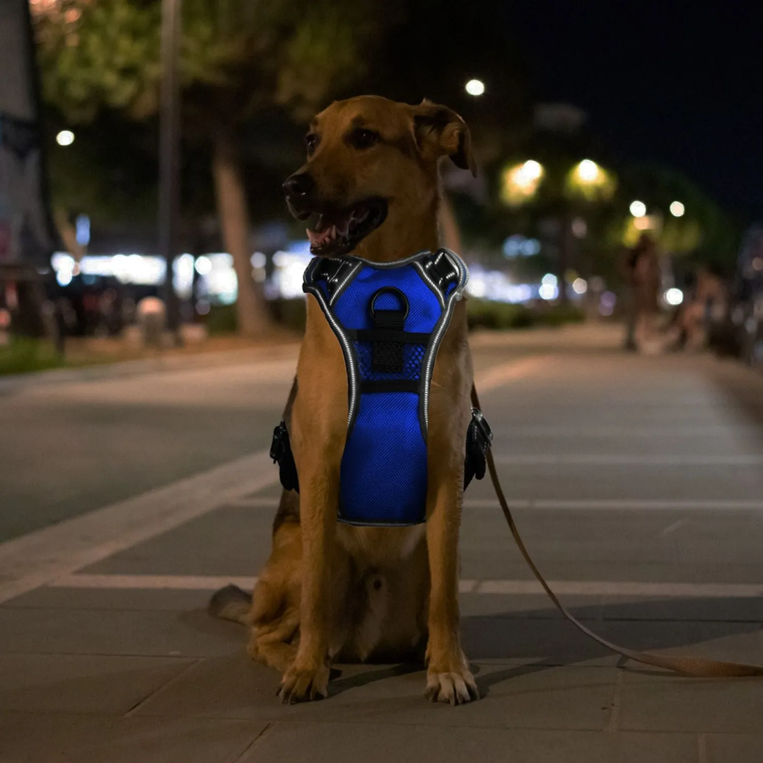 Light Up Dog Harness – No Pull Vest