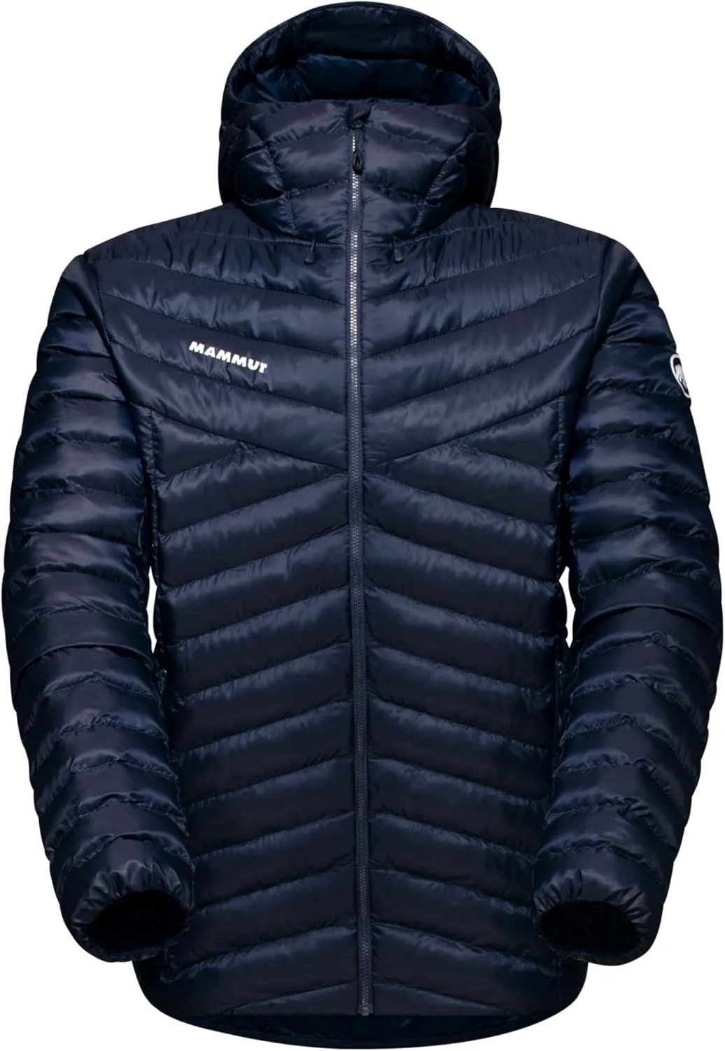 Mammut Albula in Hooded Jacket - Men's