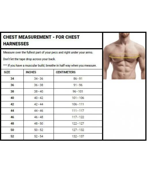 Men’s Roman Leather Chest Harness – Studded Multi-Strap Design