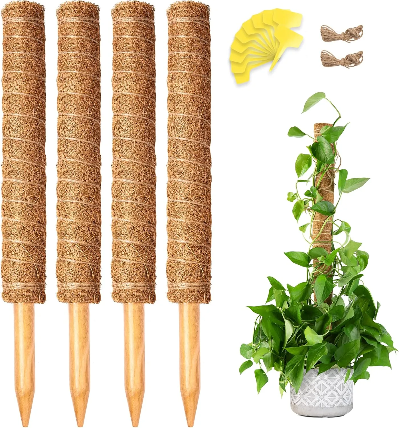 Monstera, 52 Inch Moss Stick, Coir Totem Plant Support for Indoor Potted Plants - 4 Pack