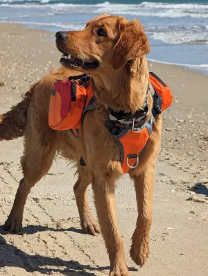 Multi-Purpose Dog Backpack Life Jacket (Size Medium)