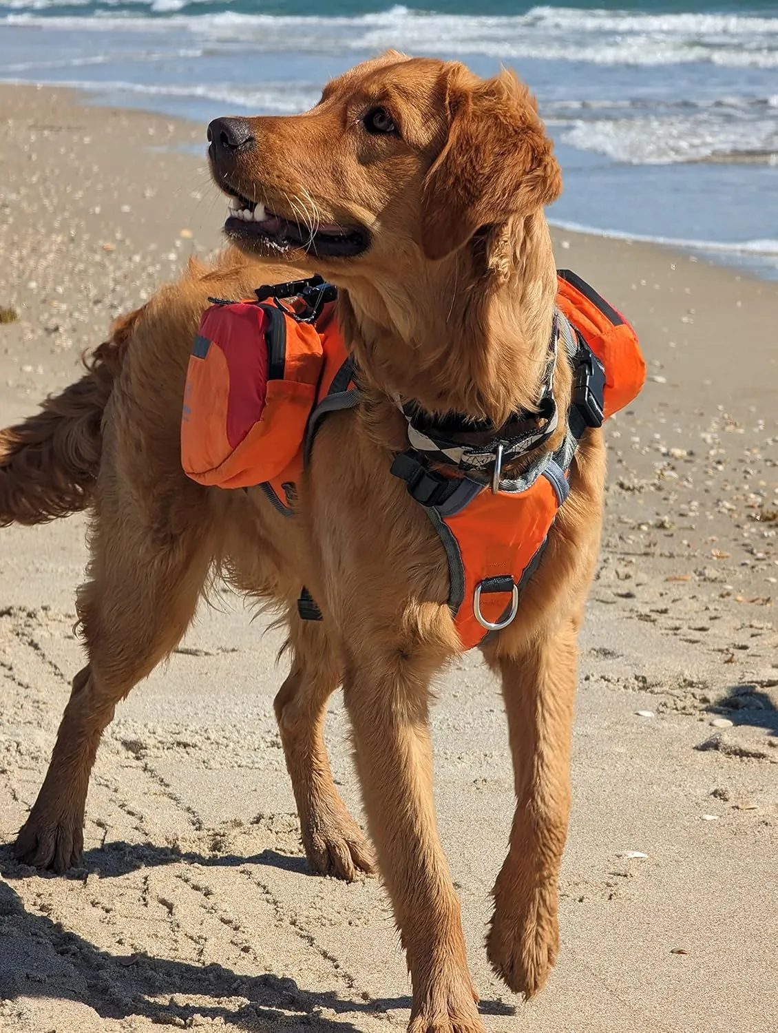 Multi-Purpose Dog Backpack Life Jacket (Size Medium)