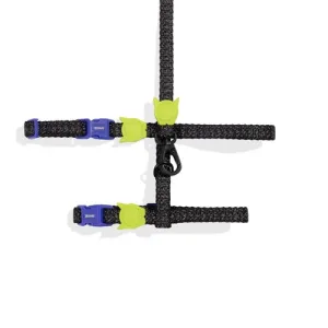 Nox Harness   Leash Set