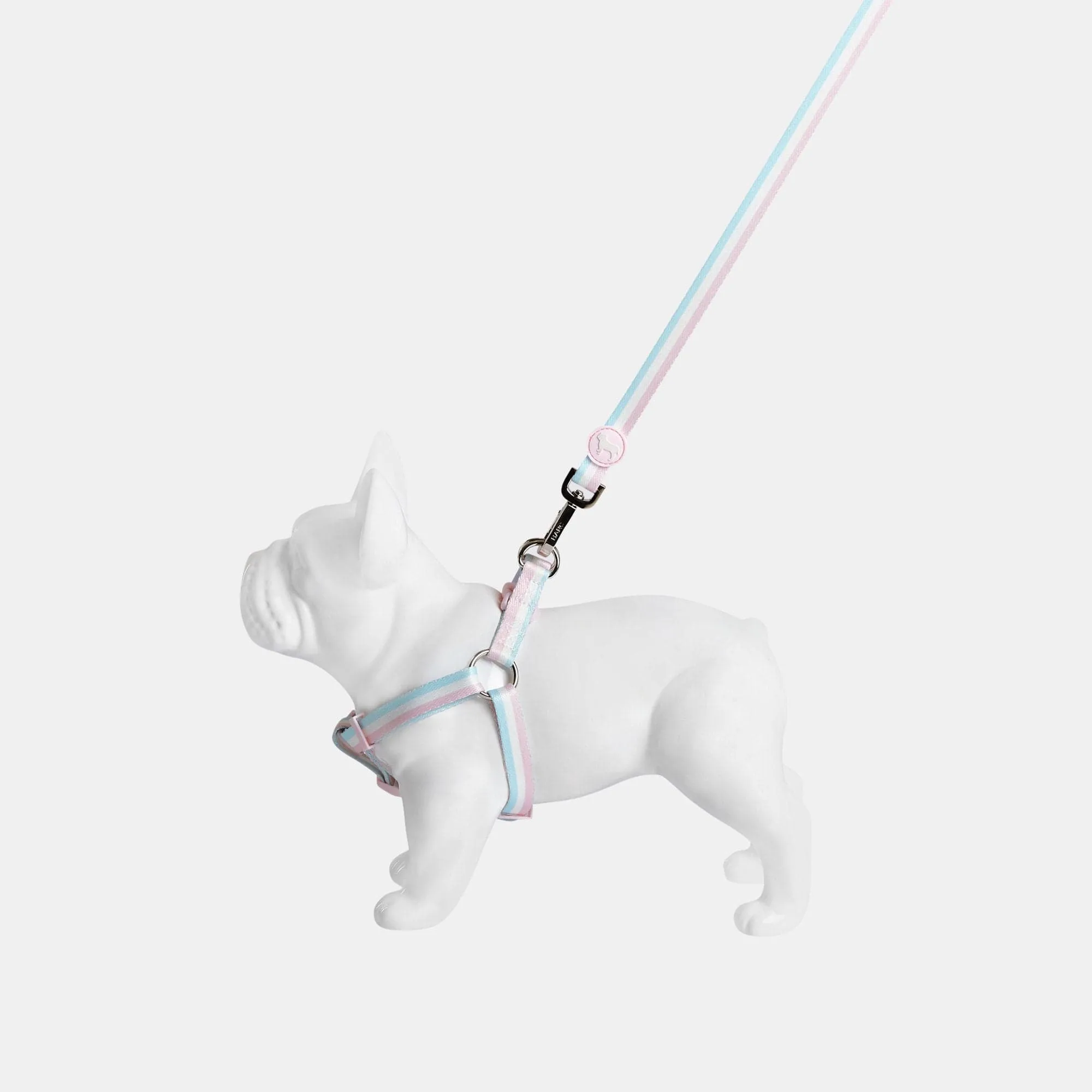 Nylon Fabric Dog Harness | Candyfloss Stripe