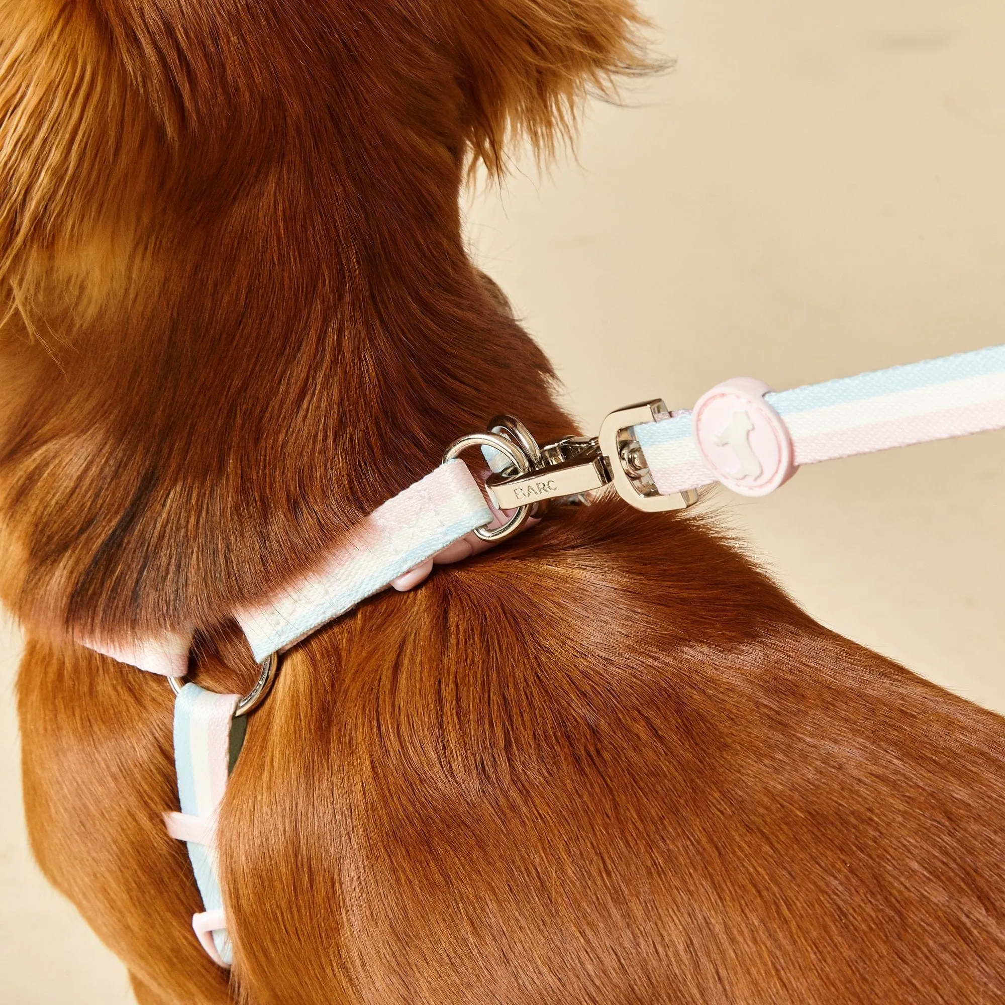 Nylon Fabric Dog Harness | Candyfloss Stripe