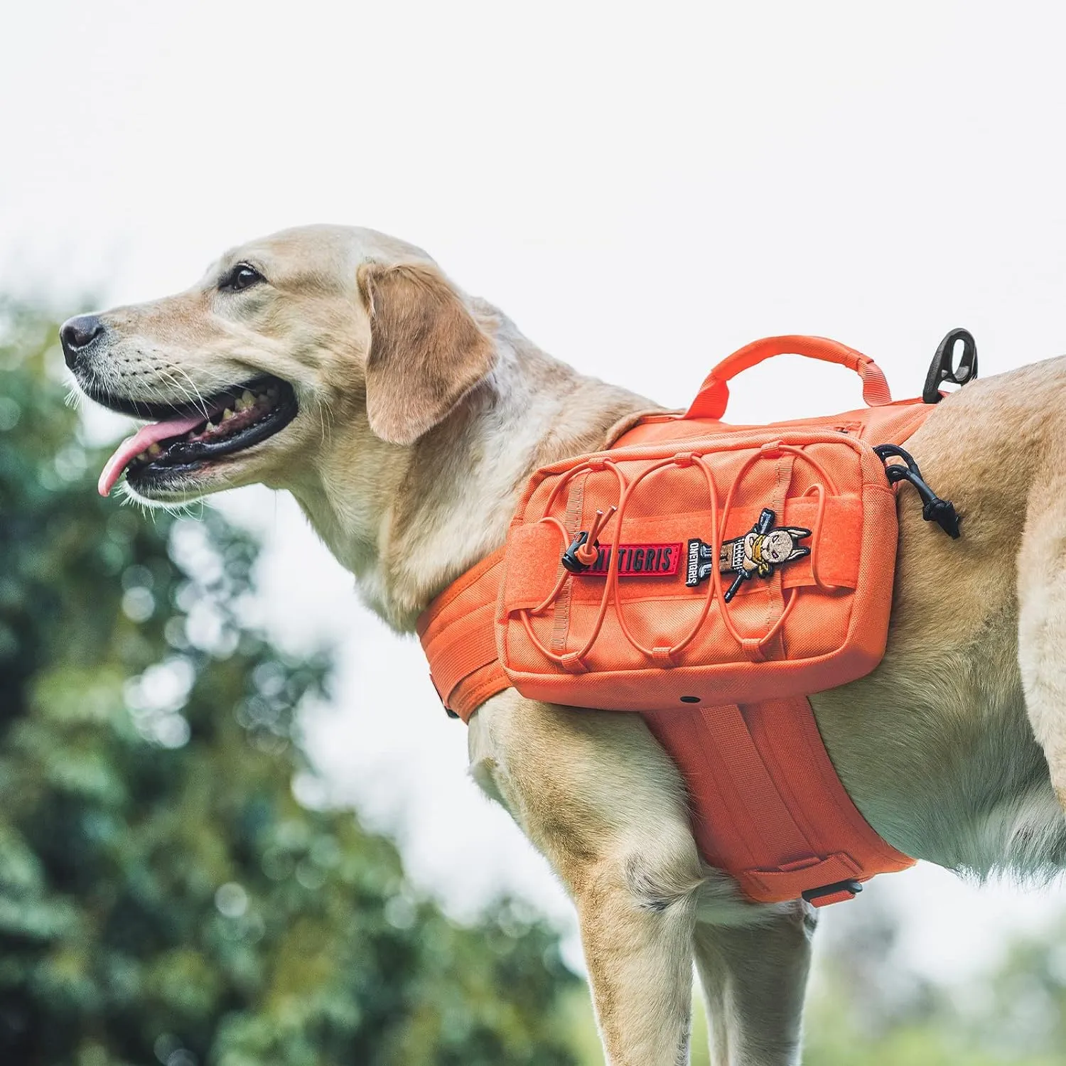 OneTigris Dog Backpack for Medium & Large Dogs, Mammoth Nylon Dog Pack Tactical Backpack Harness with Side Pockets for Hiking Walking Training Running