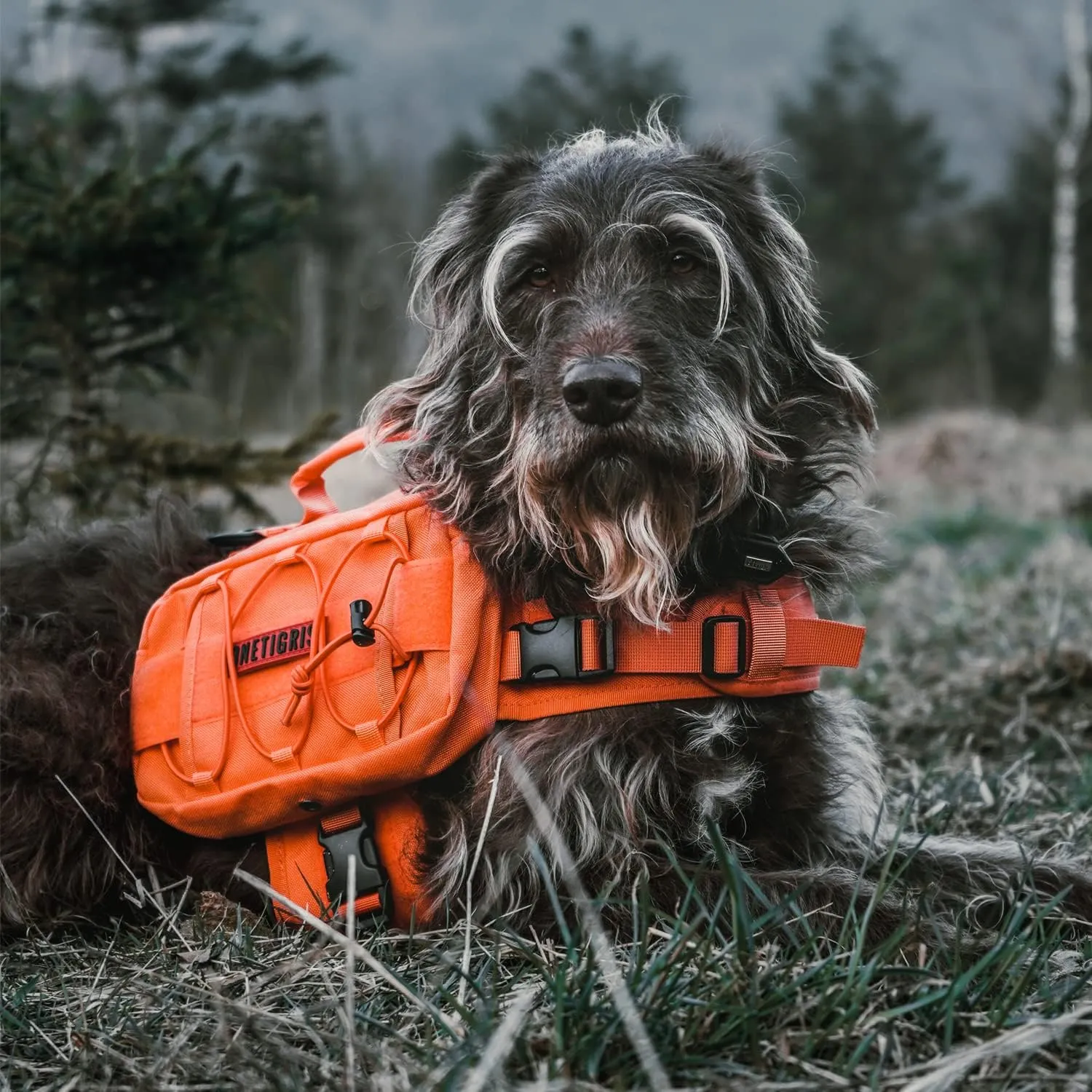 OneTigris Dog Backpack for Medium & Large Dogs, Mammoth Nylon Dog Pack Tactical Backpack Harness with Side Pockets for Hiking Walking Training Running