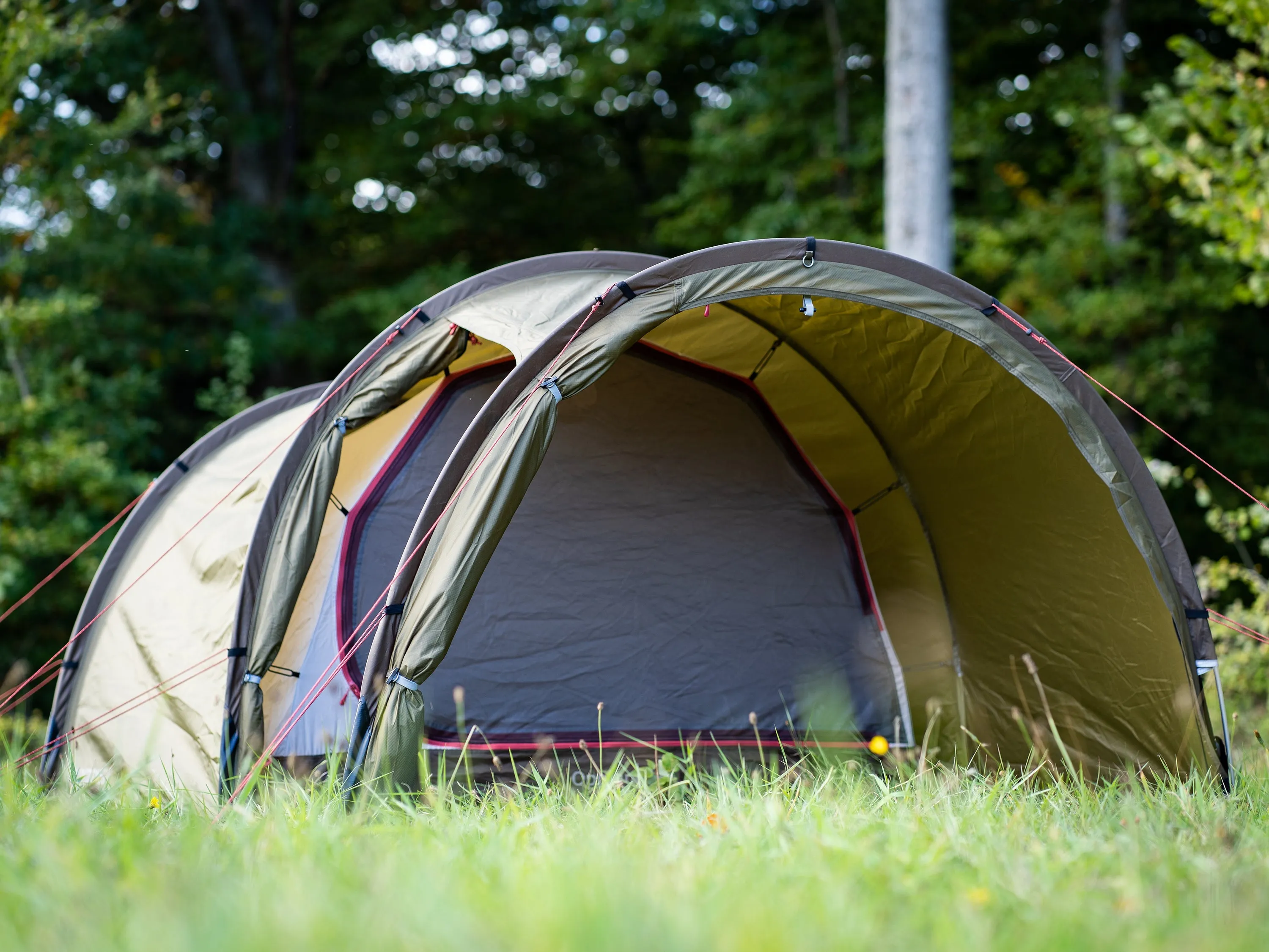 Oppland 4 PU Tent - 4 person | Dark Olive