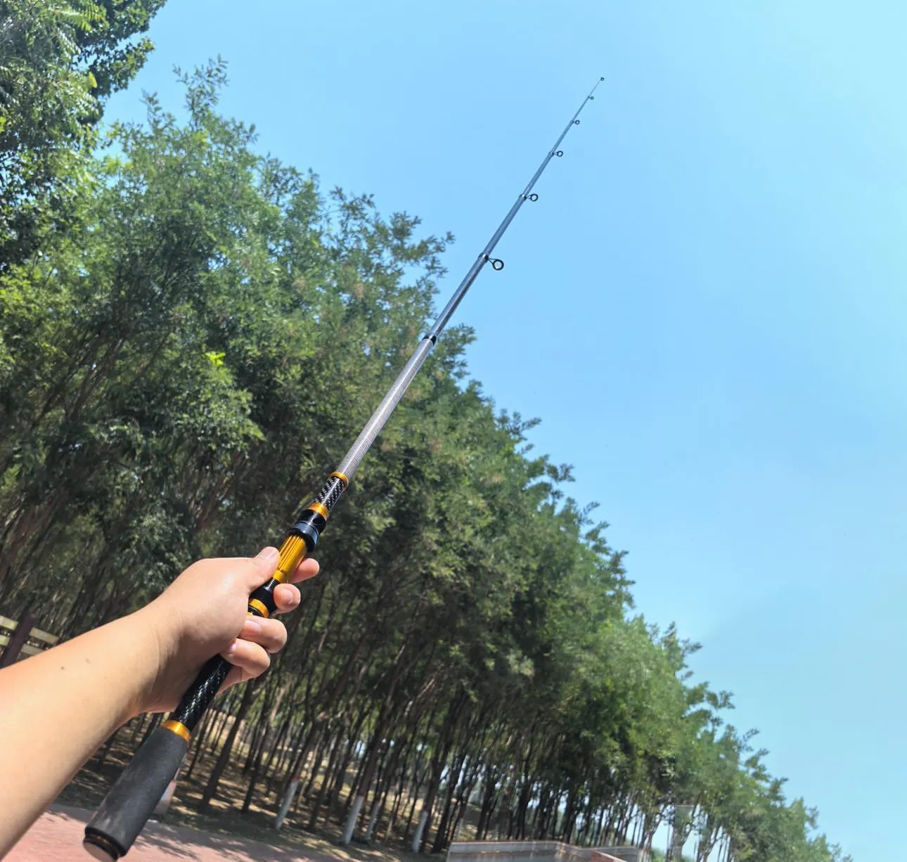 Pack of 1 1.8m-3.0m Carbon Fiber Fishing Rod Short Pocket Portable Spinning Rod Lure Pole Telescopic Carp Trout Beach Fish Rods