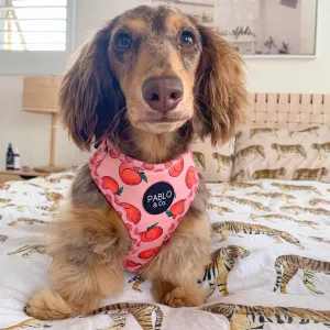 Peachy Adjustable Harness